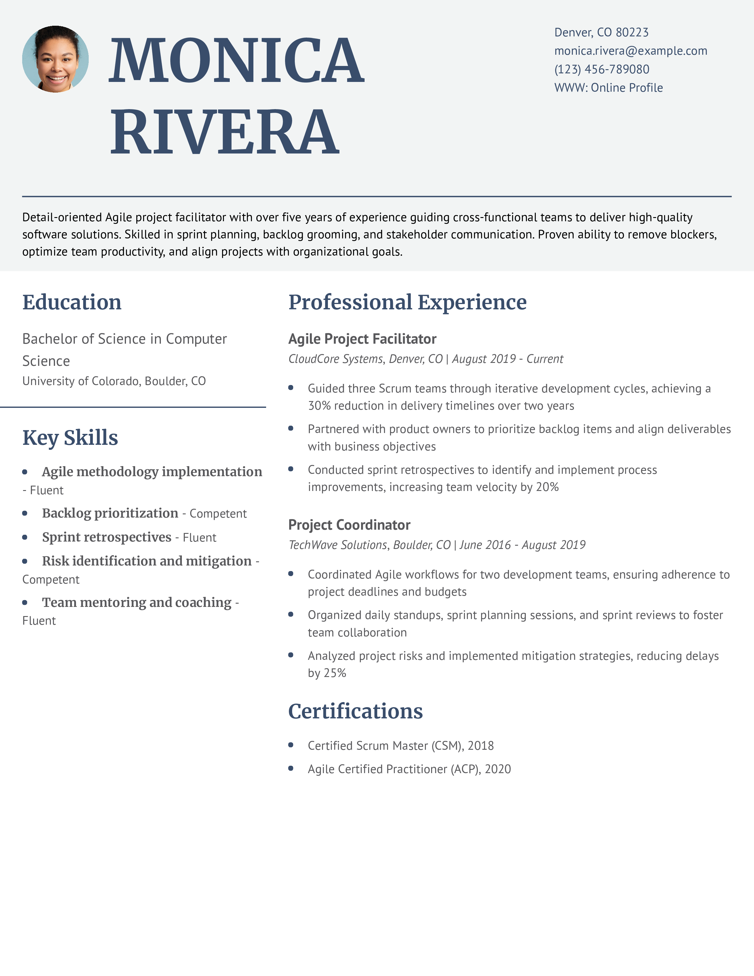 Agile Project Facilitator Resume Example