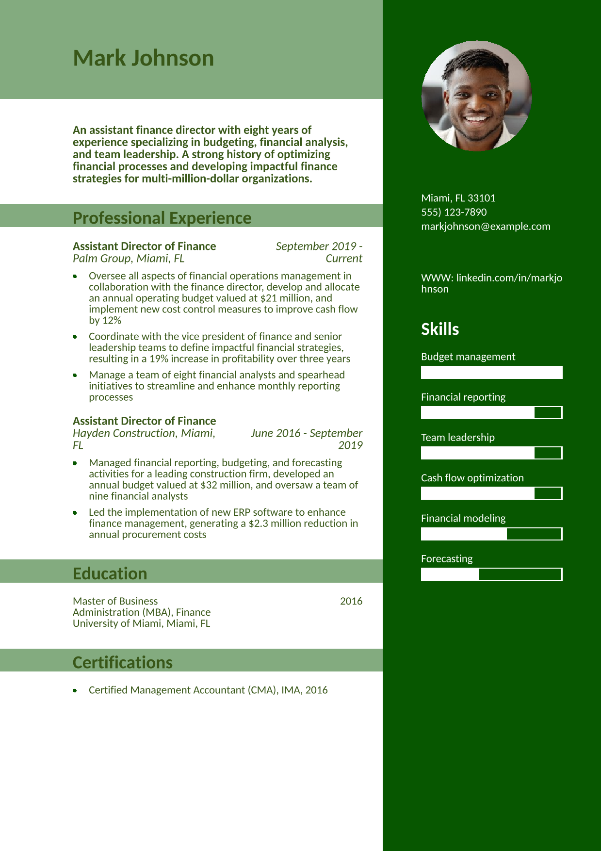 Assistant Director of Finance Resume Example