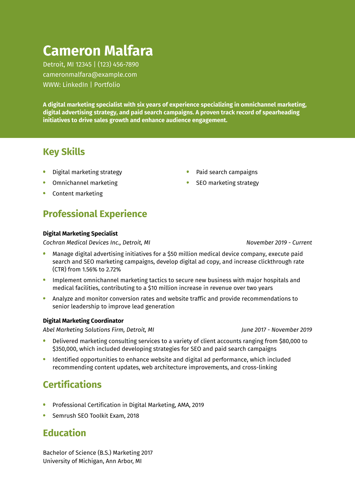 Digital Marketing Resume Example
