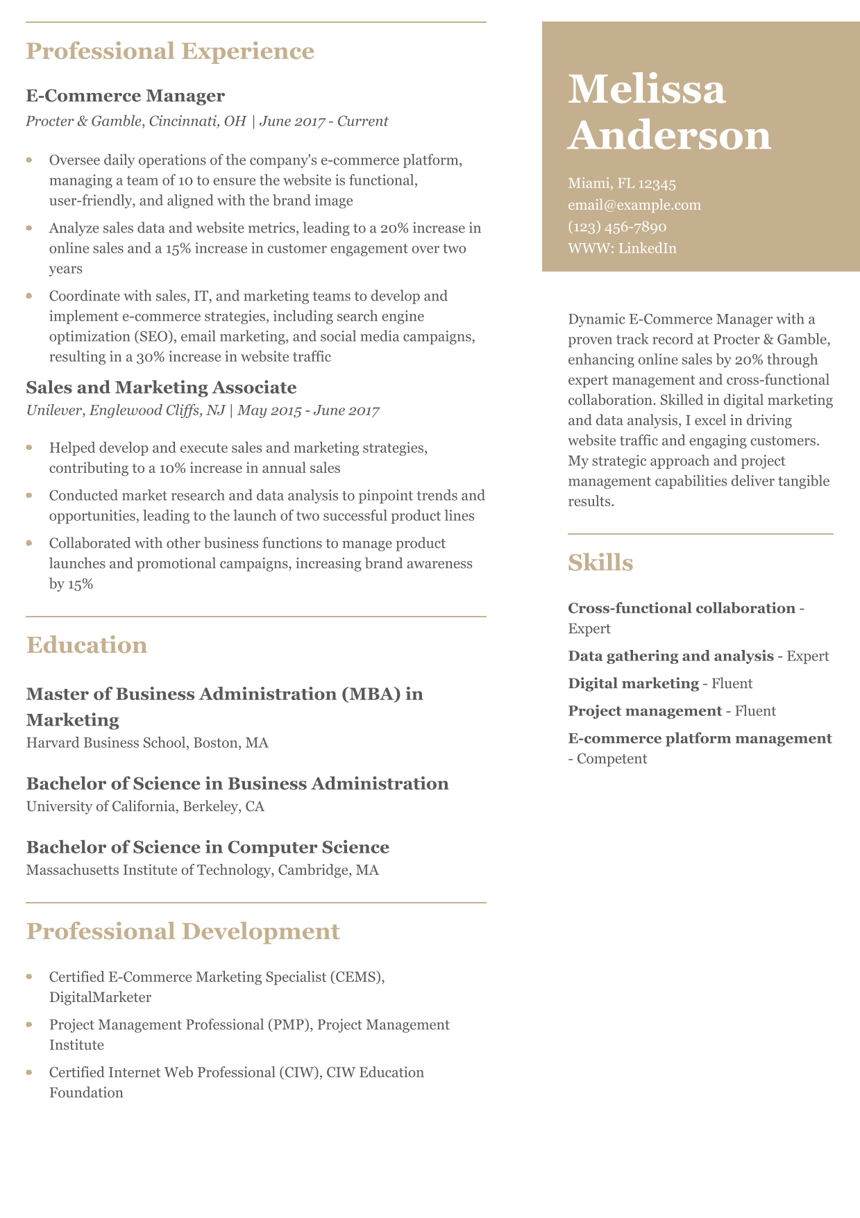 E-commerce Resume Example