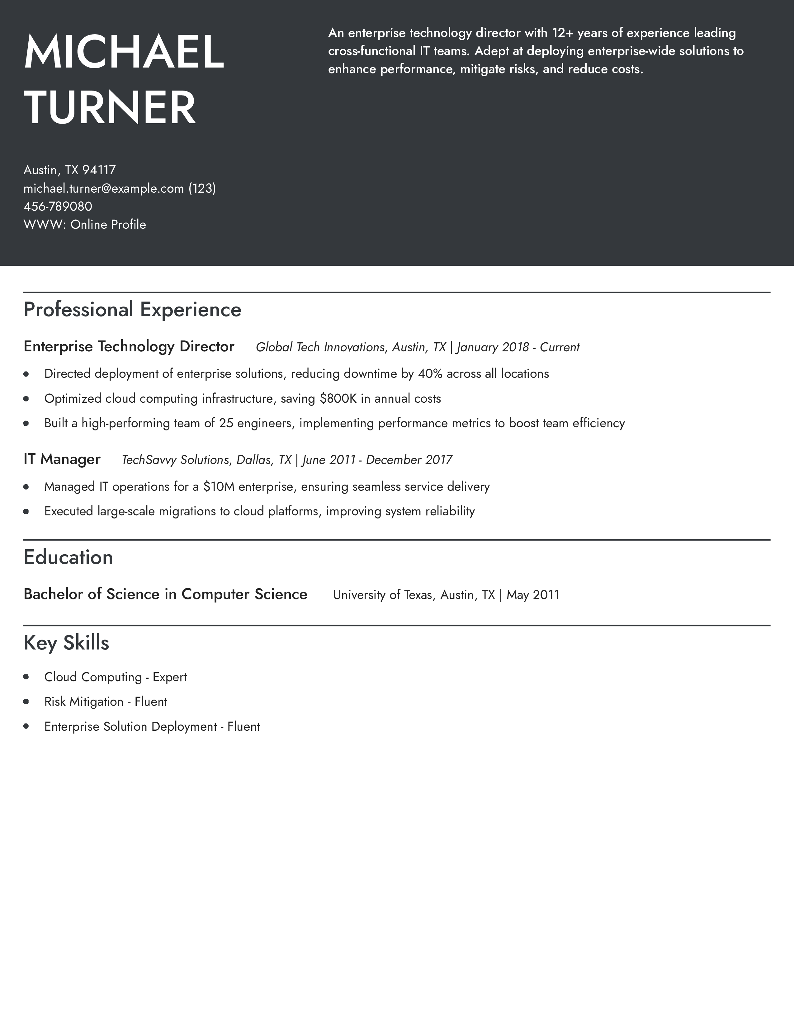 Enterprise Technology Director Resume Example