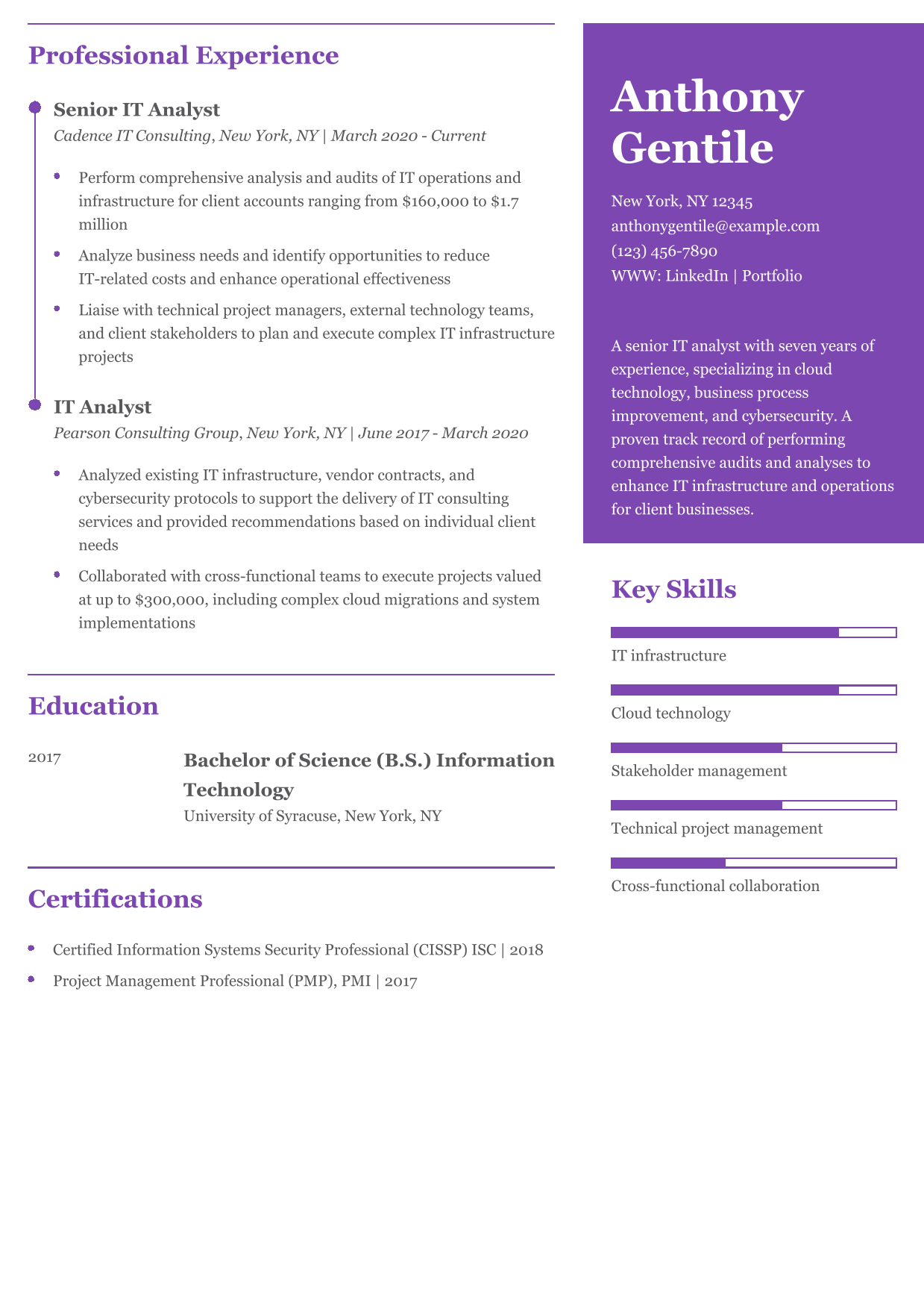 IT Analyst Resume Example