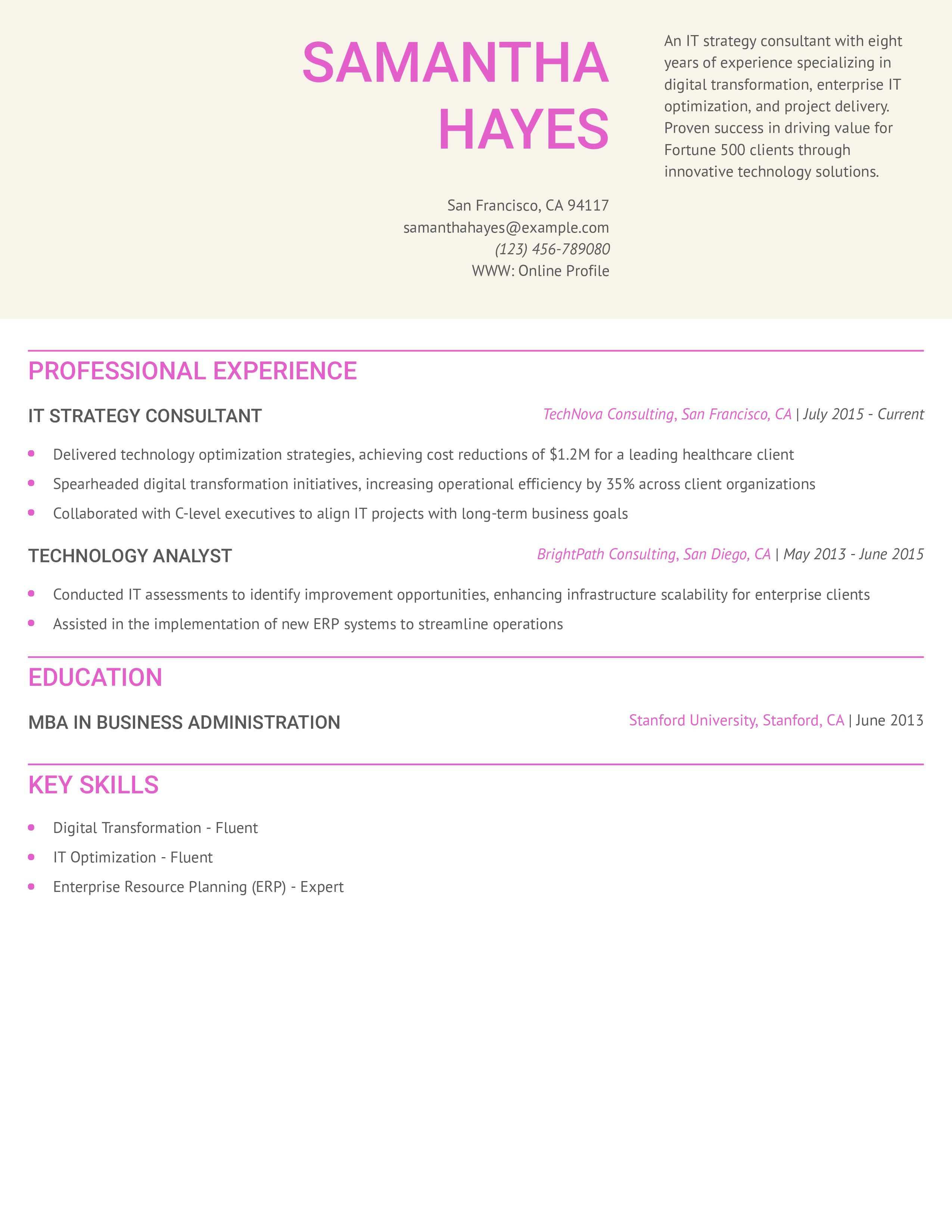 IT Strategy Consultant Resume Example