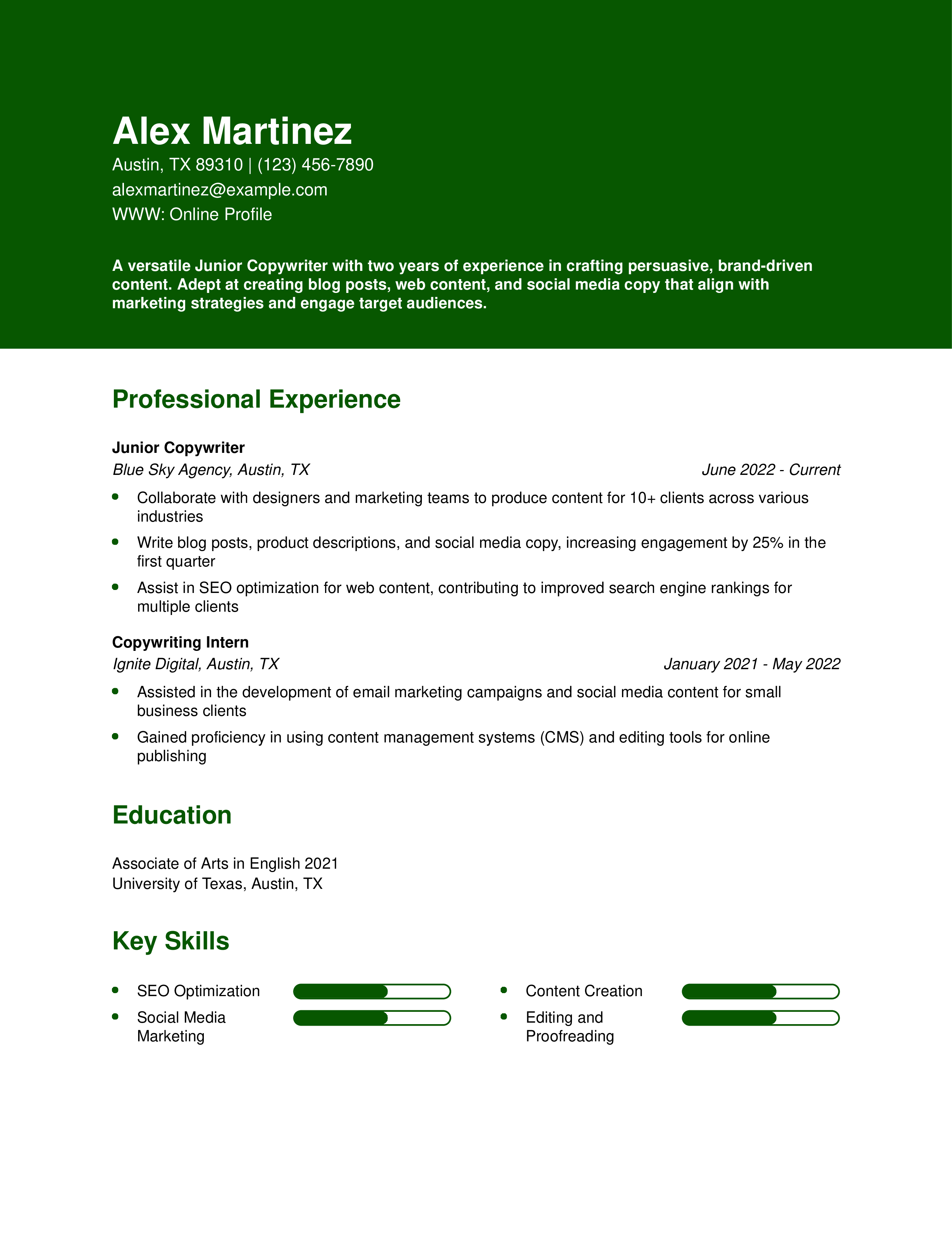 Junior Copywriter Resume Example