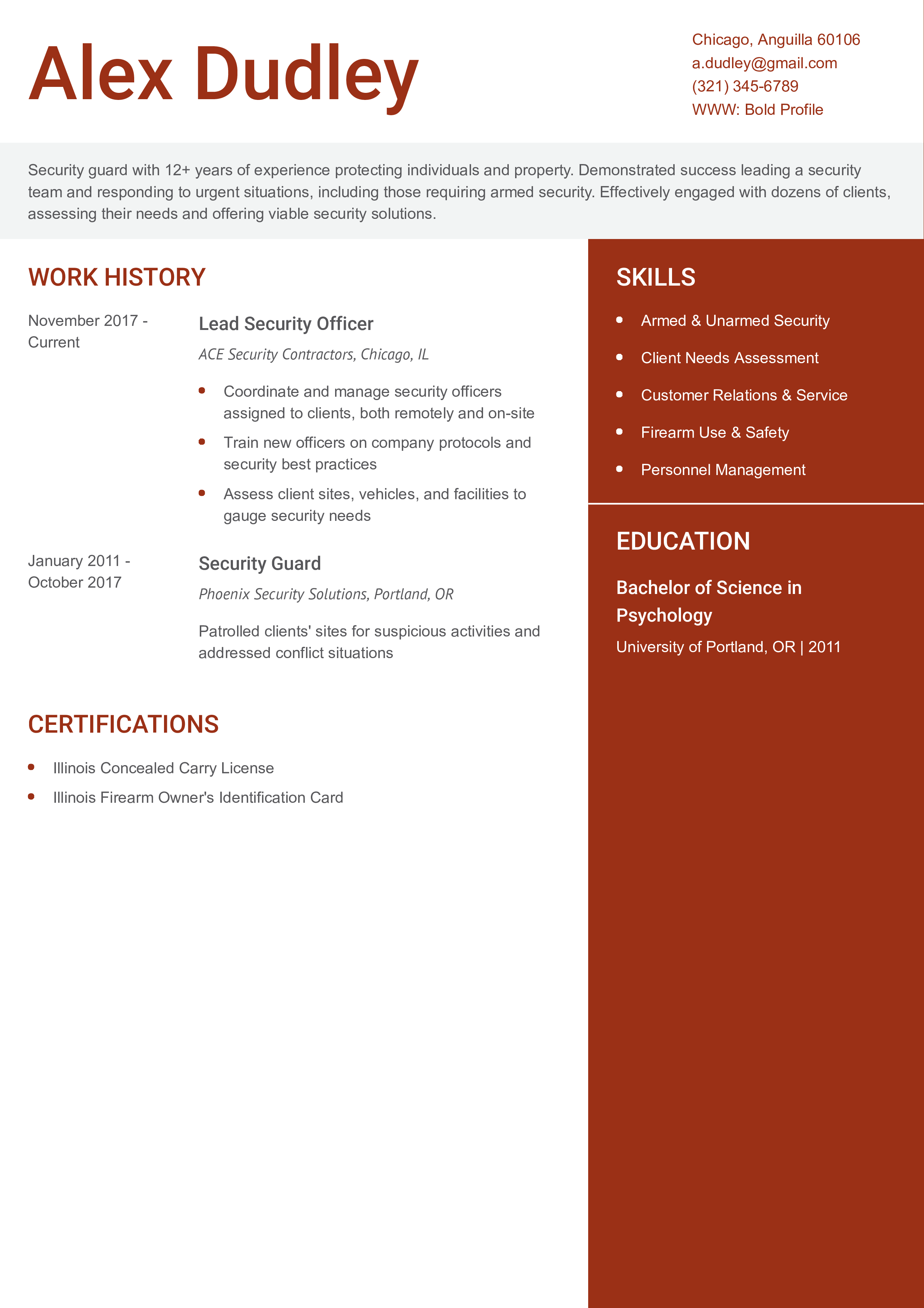 Lead Security Officer Resume Example