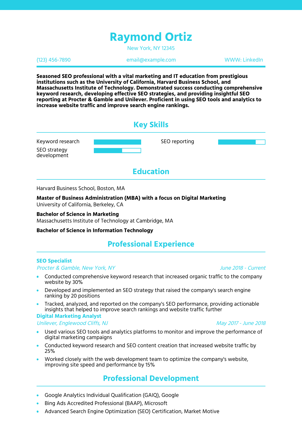 SEO Resume Example