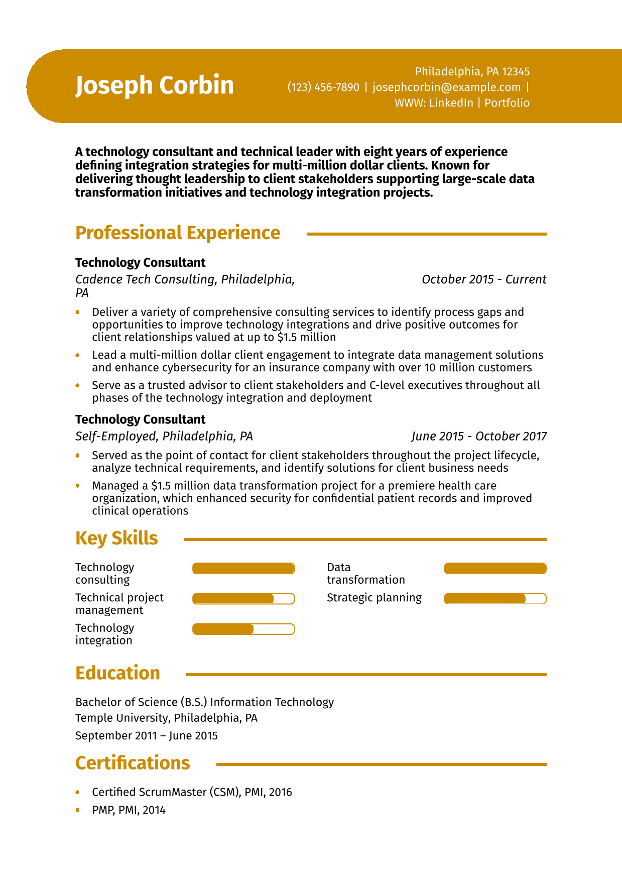 Technology Consultant Resume Example