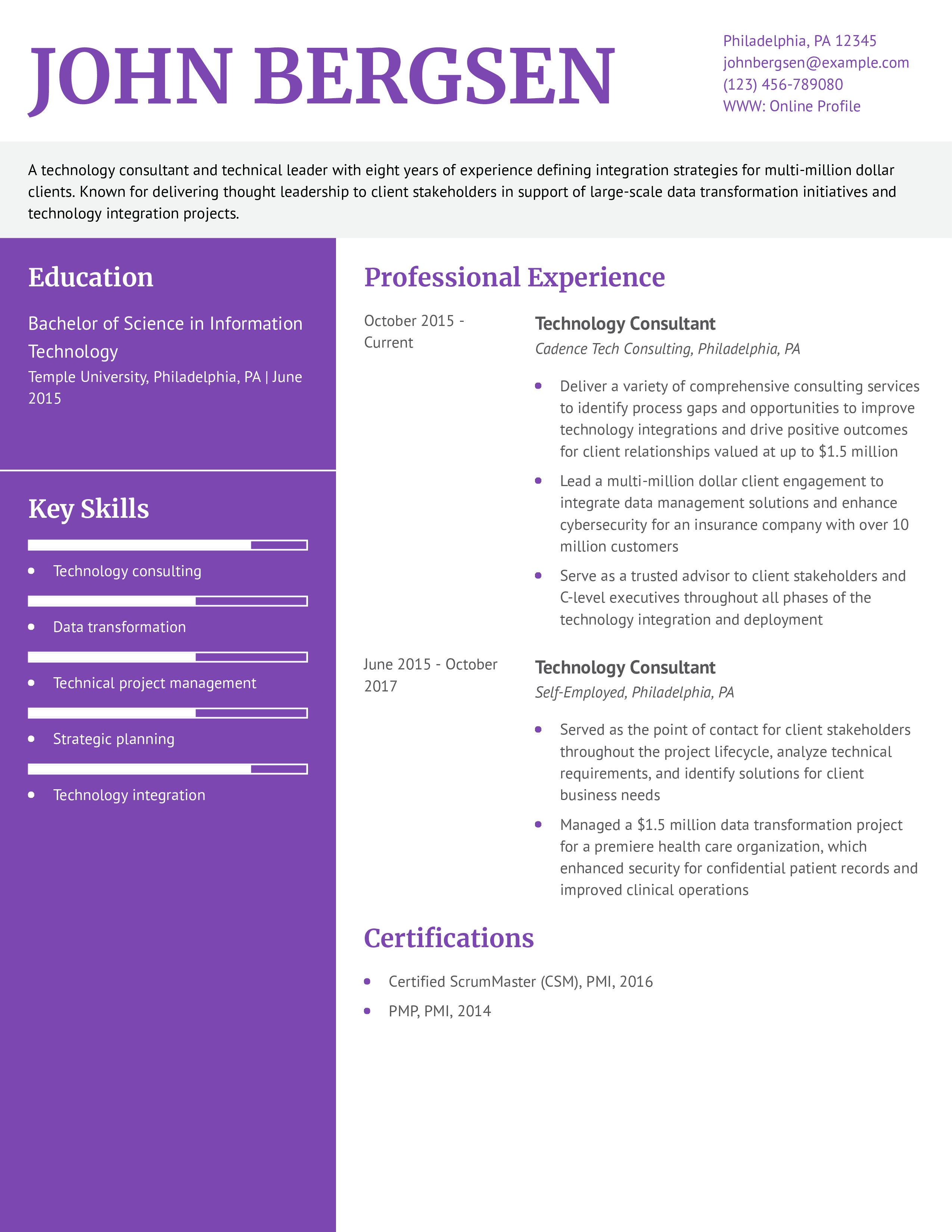 Consulting Resume Example