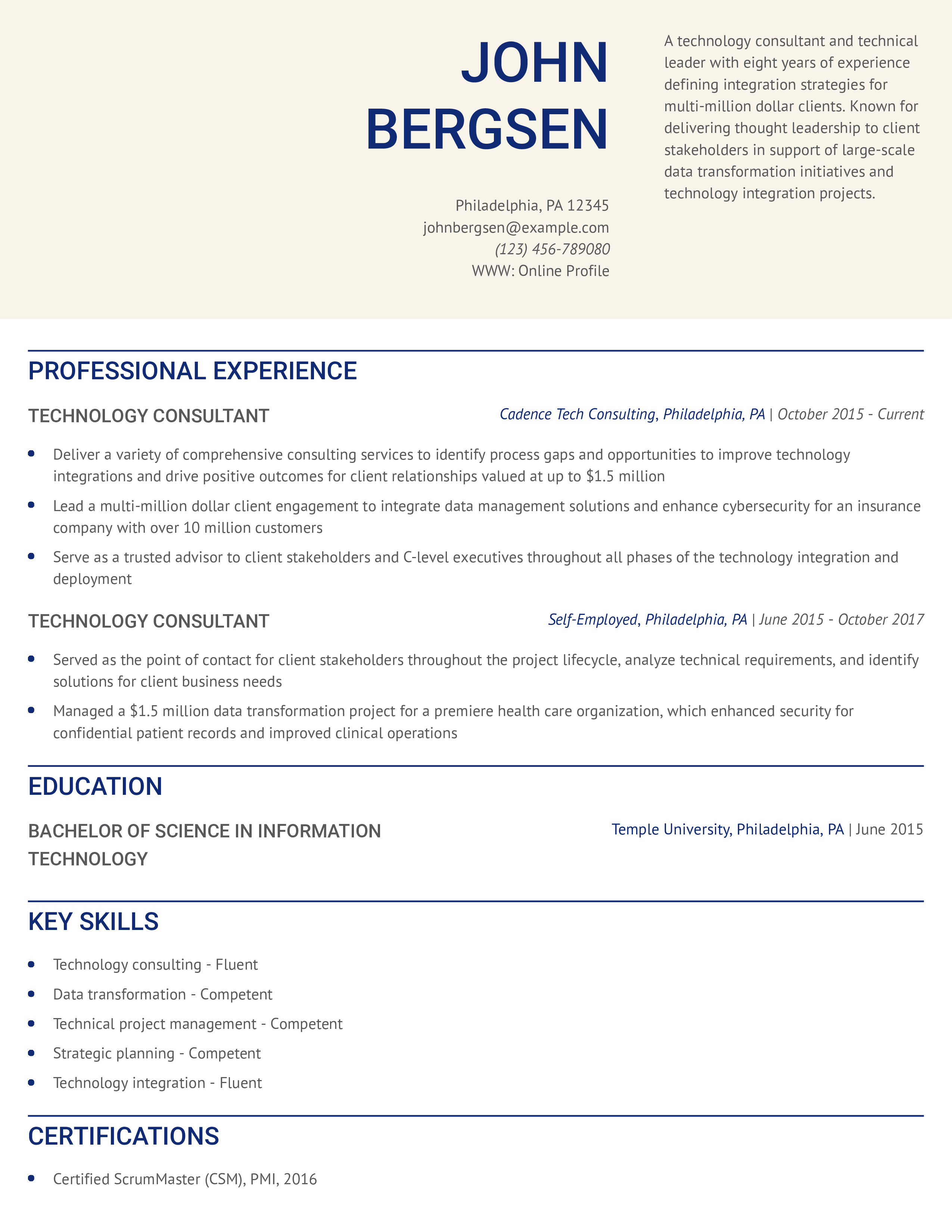 Technology Consultant Resume Example