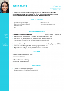 E-commerce Merchandiser Resume Example
