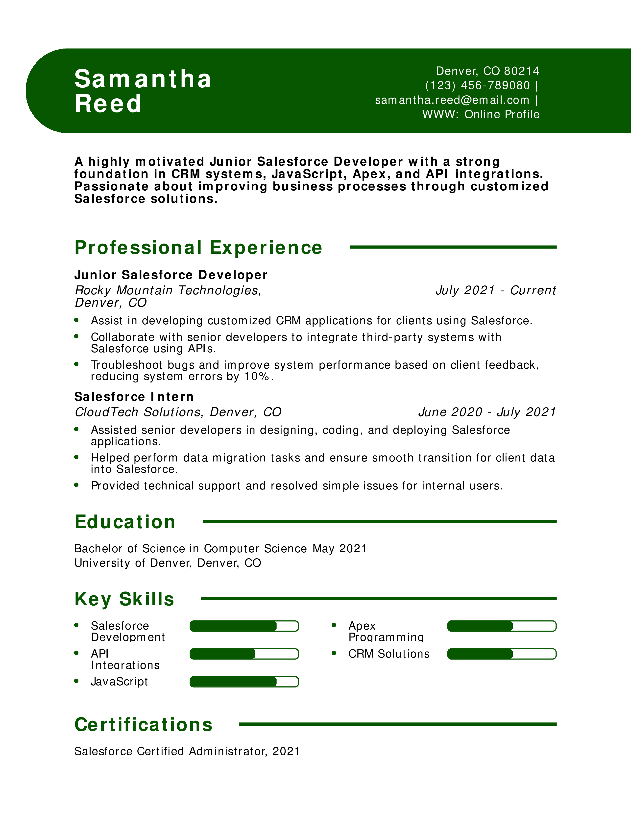 Junior Salesforce Developer Resume