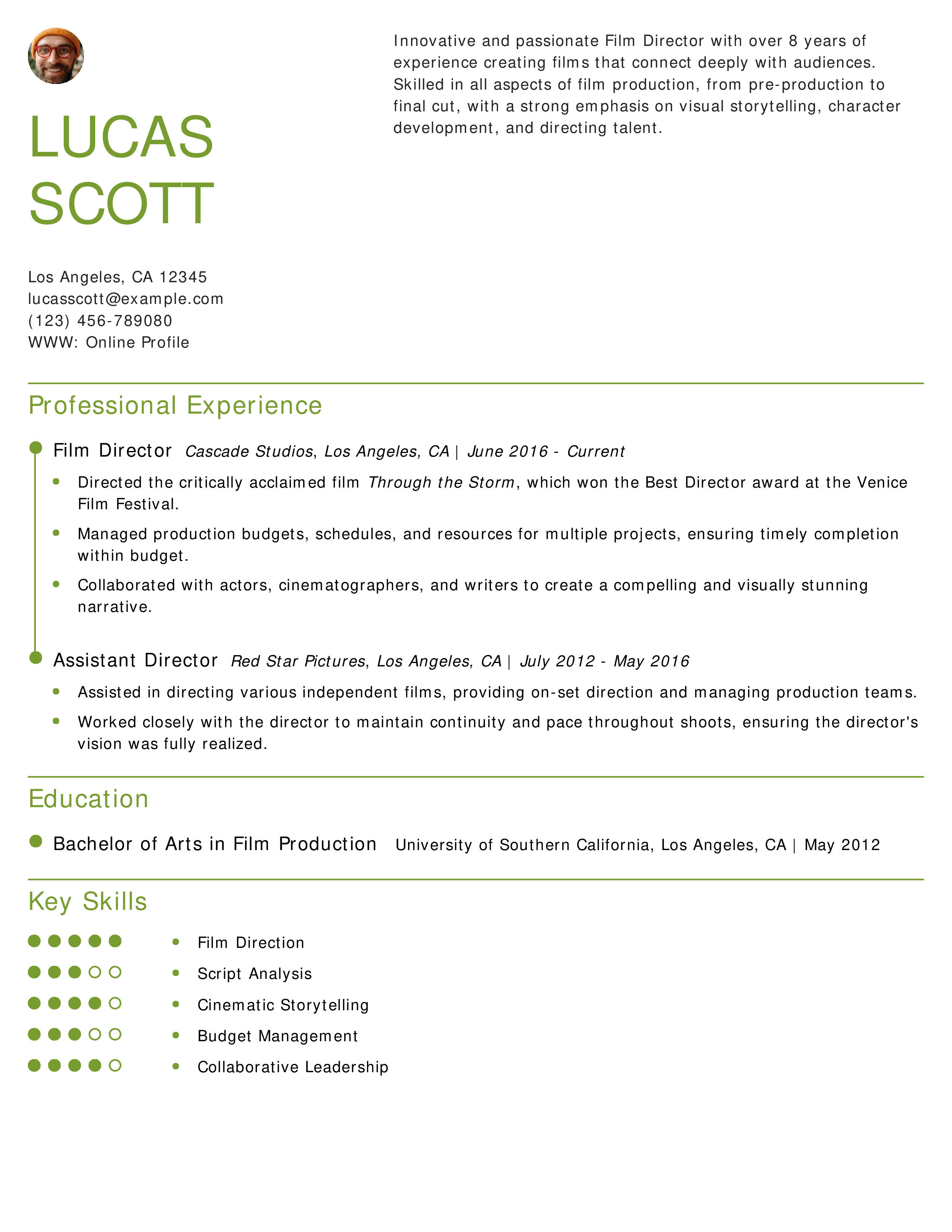 Creative Film Director Resume Example