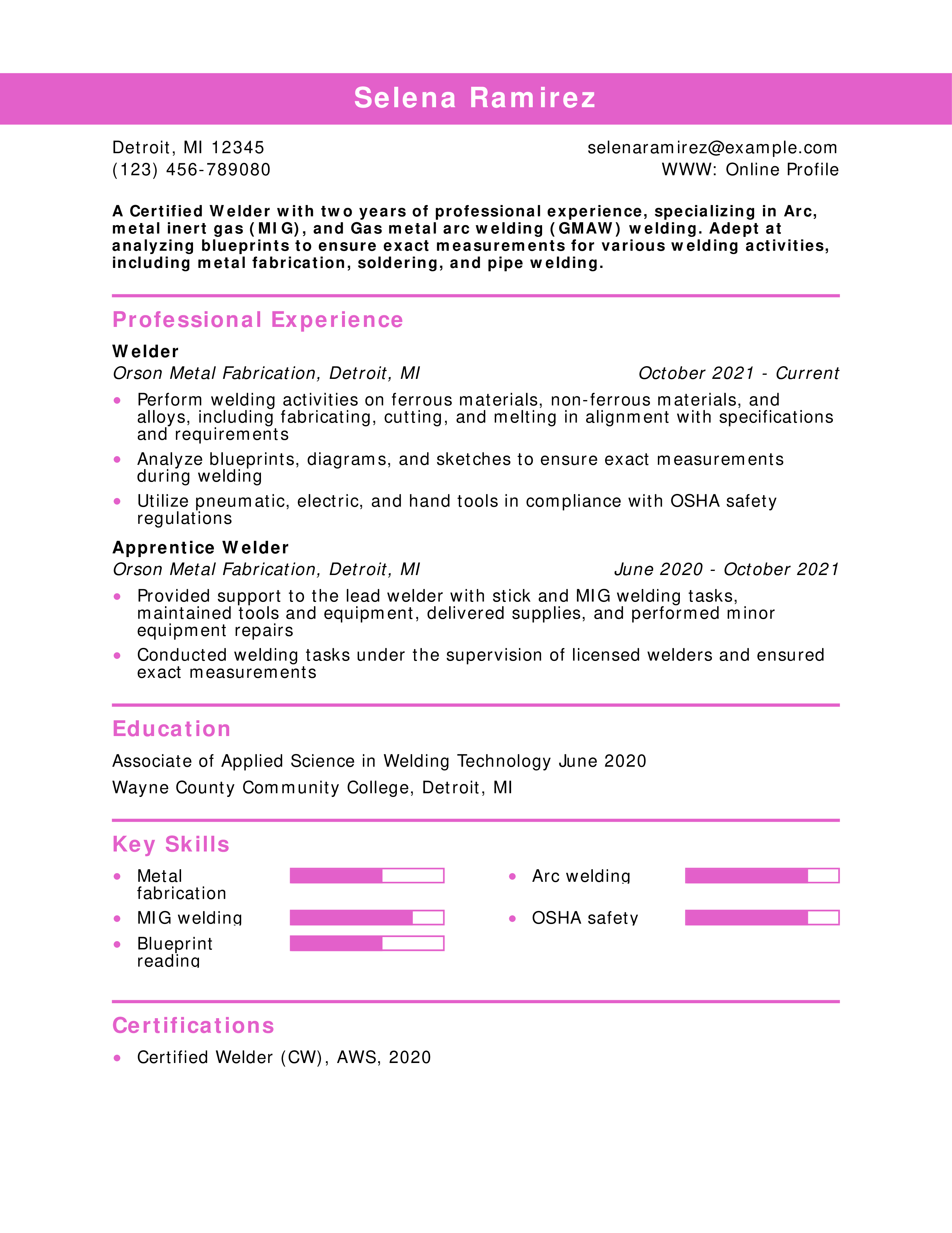 Entry-Level Welder Resume Example