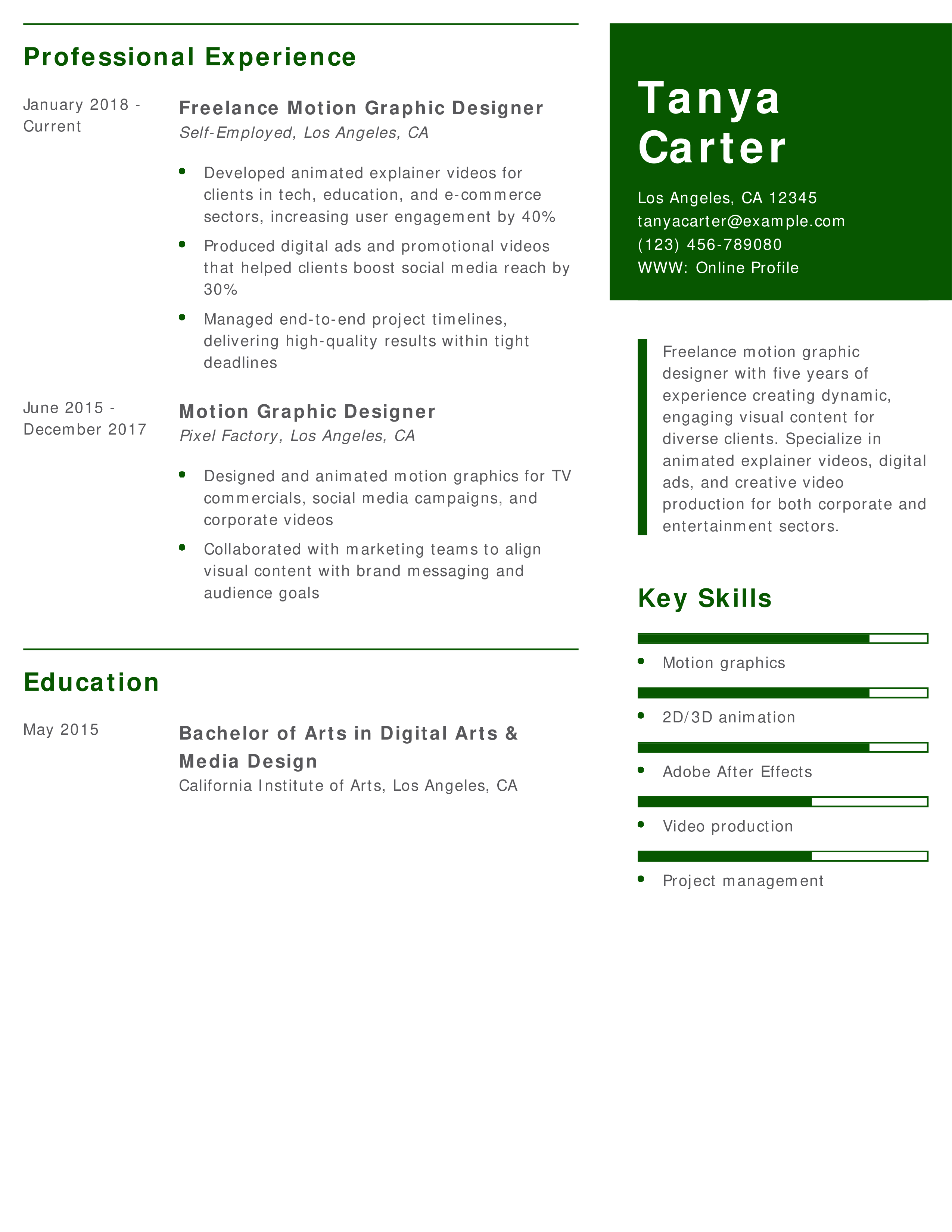 Freelance Motion Graphic Designer Resume