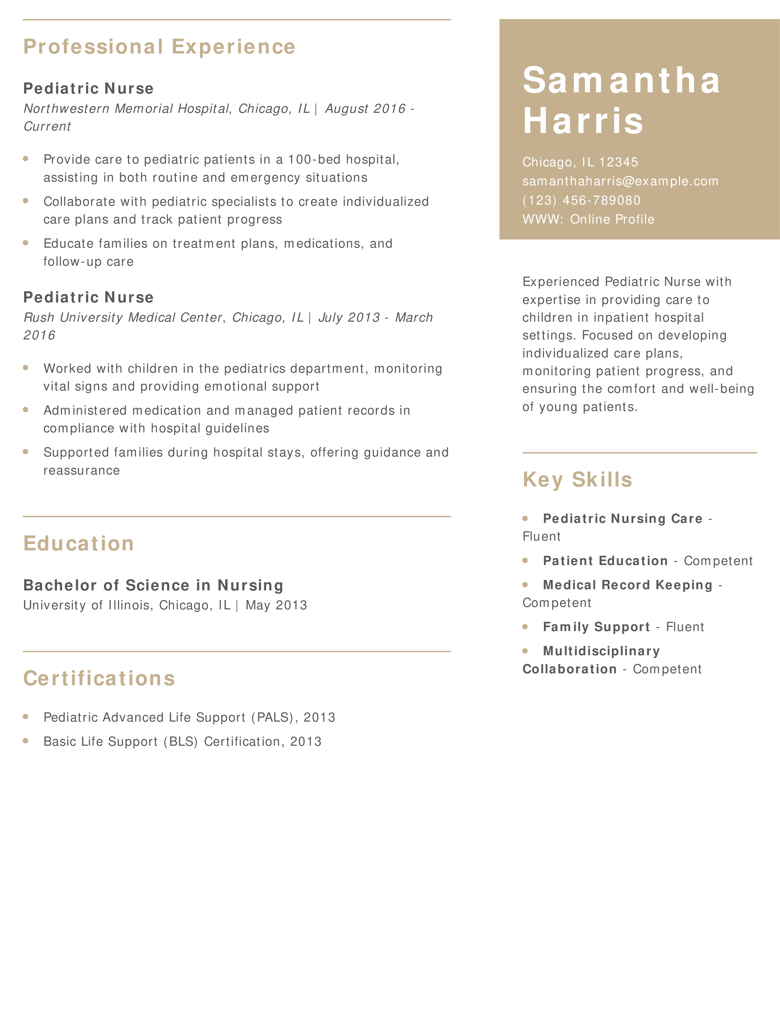 Hospital Environment Pediatric Nurse Resume Example
