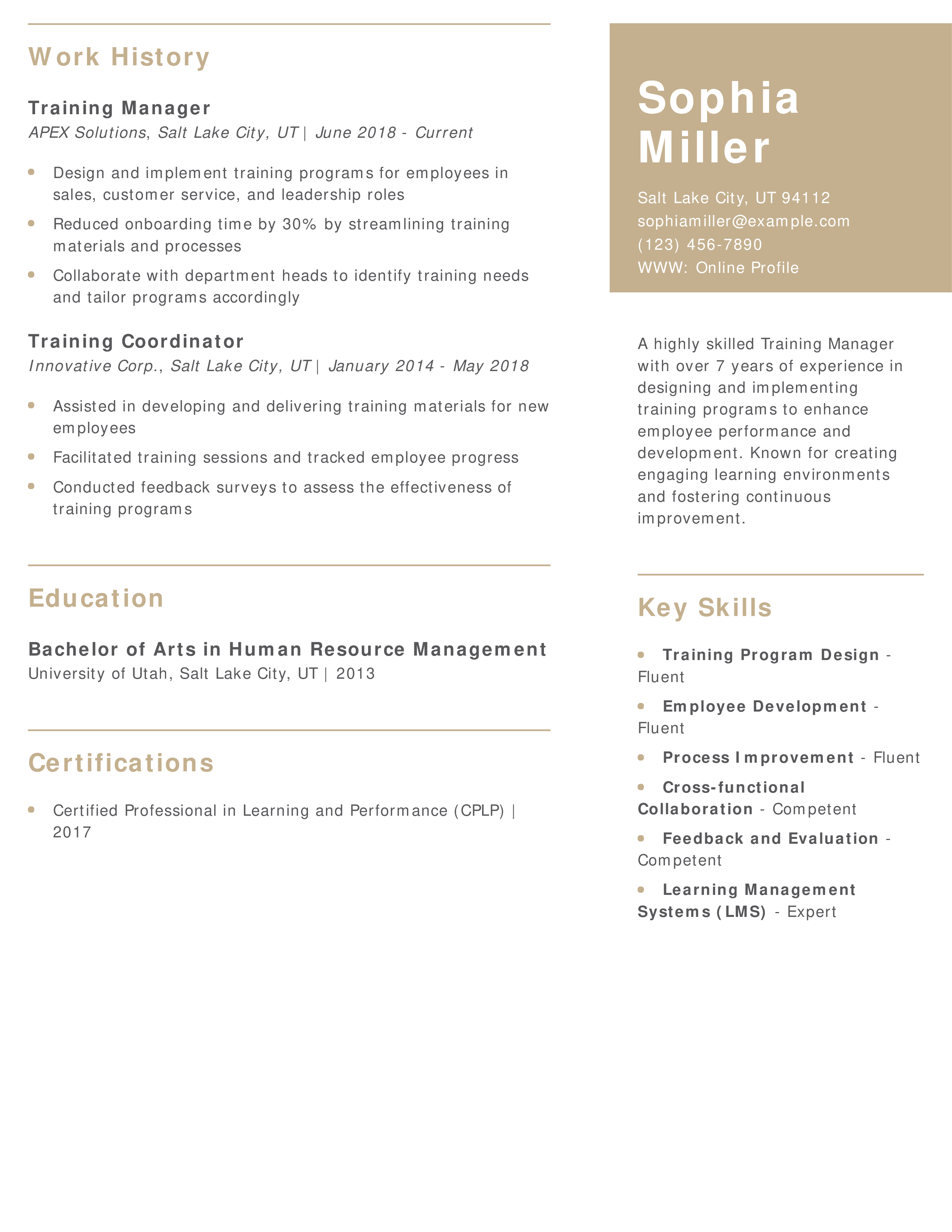 Learning and Development Training Manager Resume