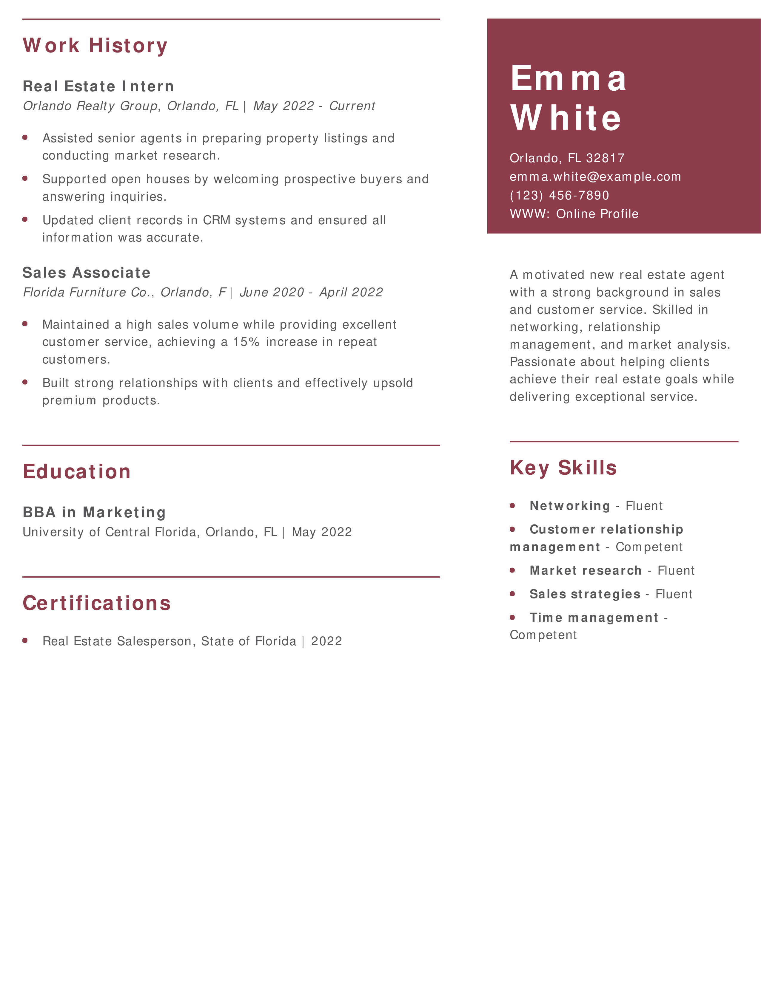 New Real Estate Agent Resume