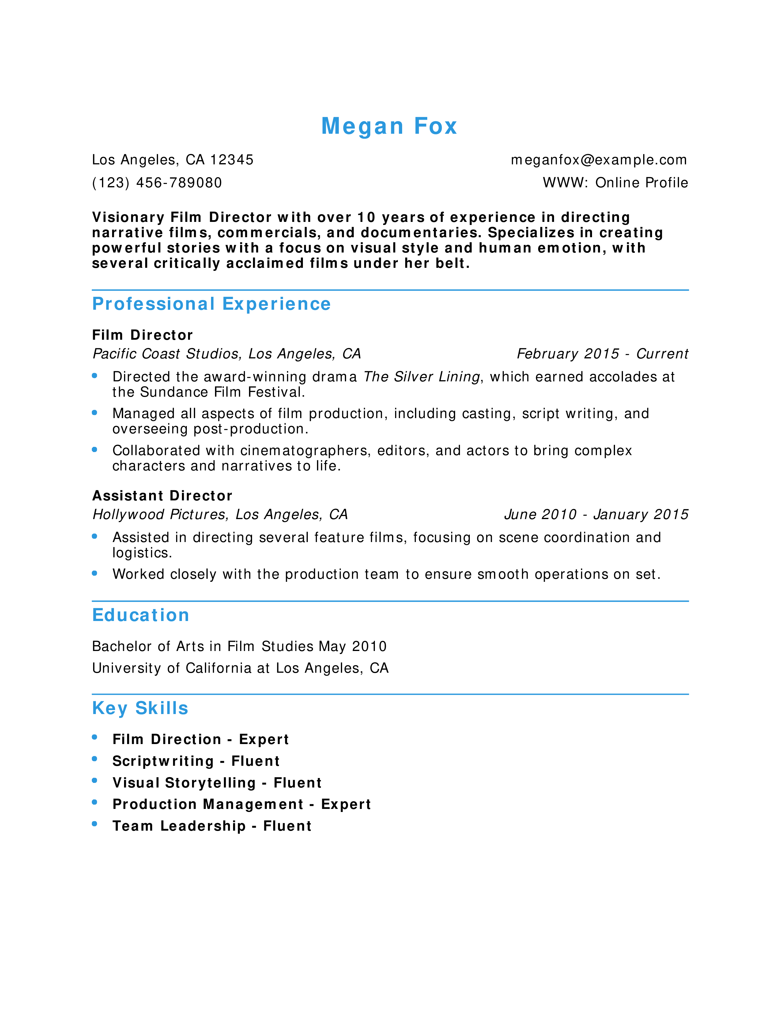 Visionary Film Director Resume Example