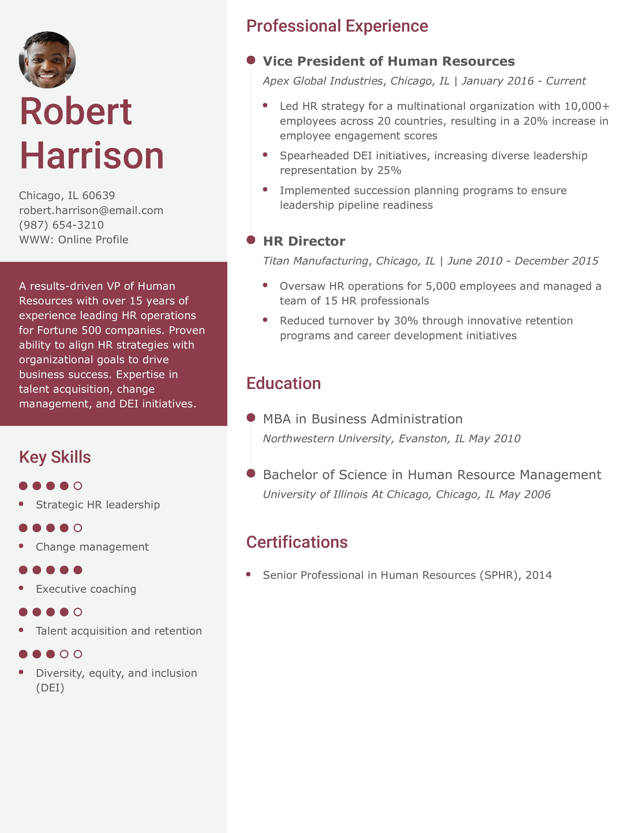 Vice President of Human Resources Resume