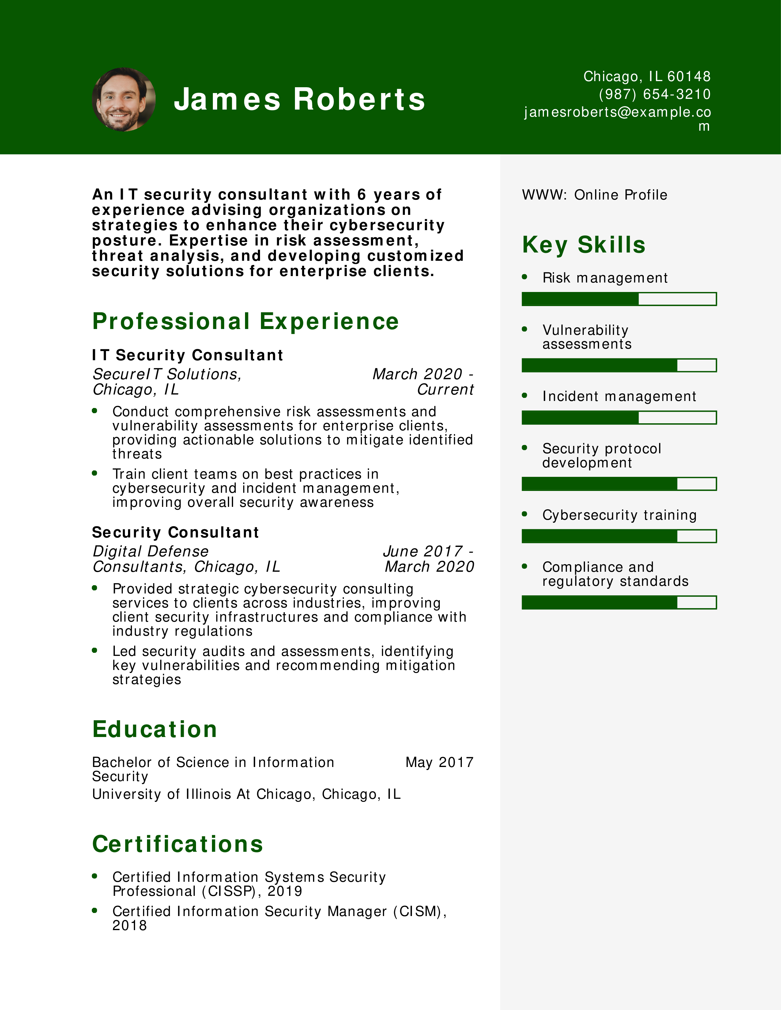 IT Security Consultant Resume