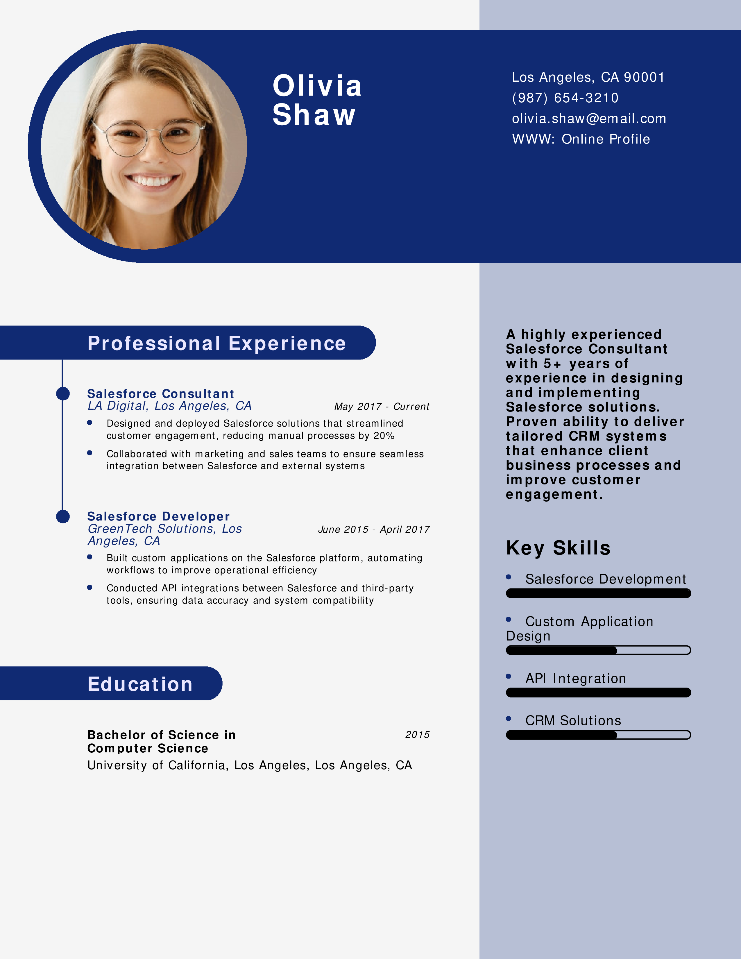 Salesforce Consultant Resume
