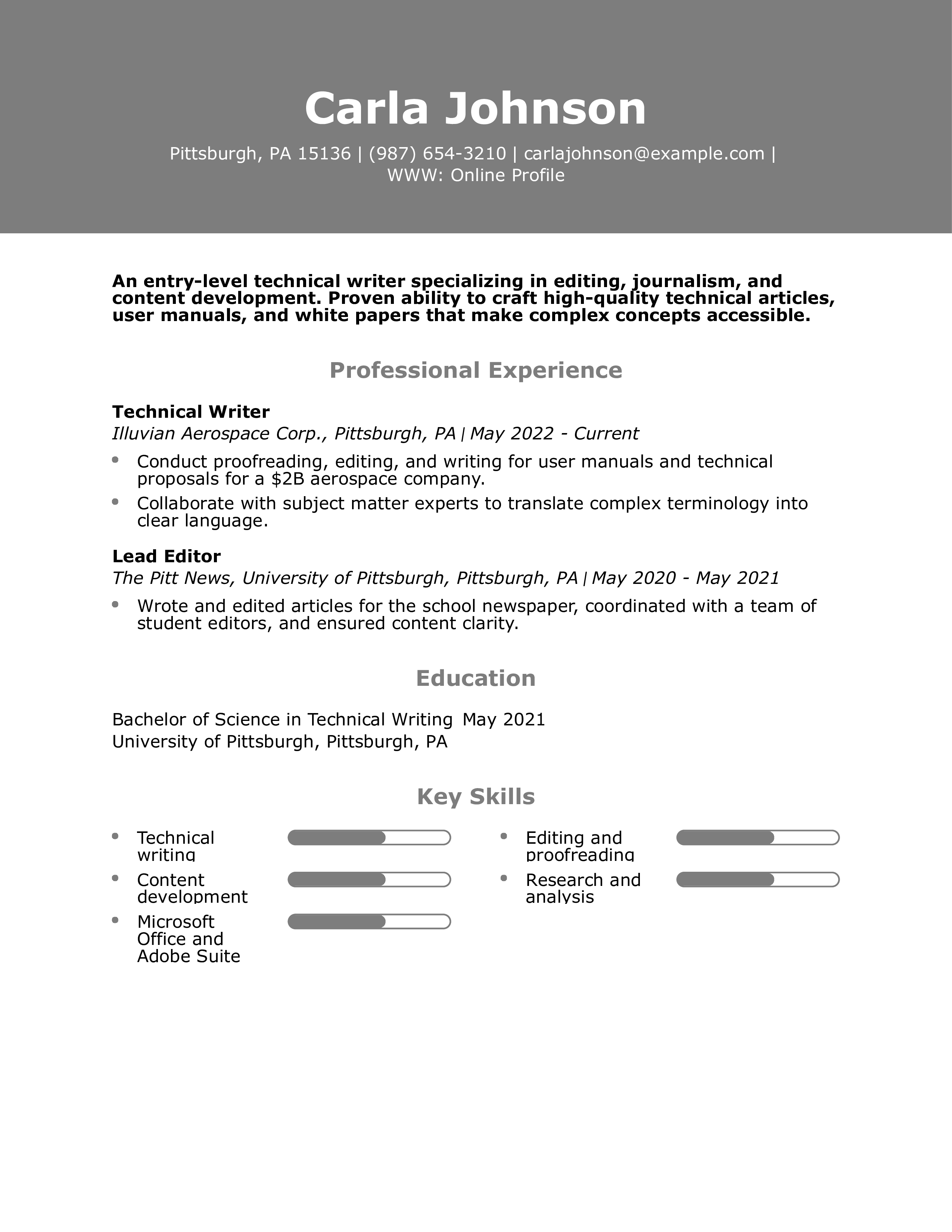 Entry-Level Technical WriterResumes