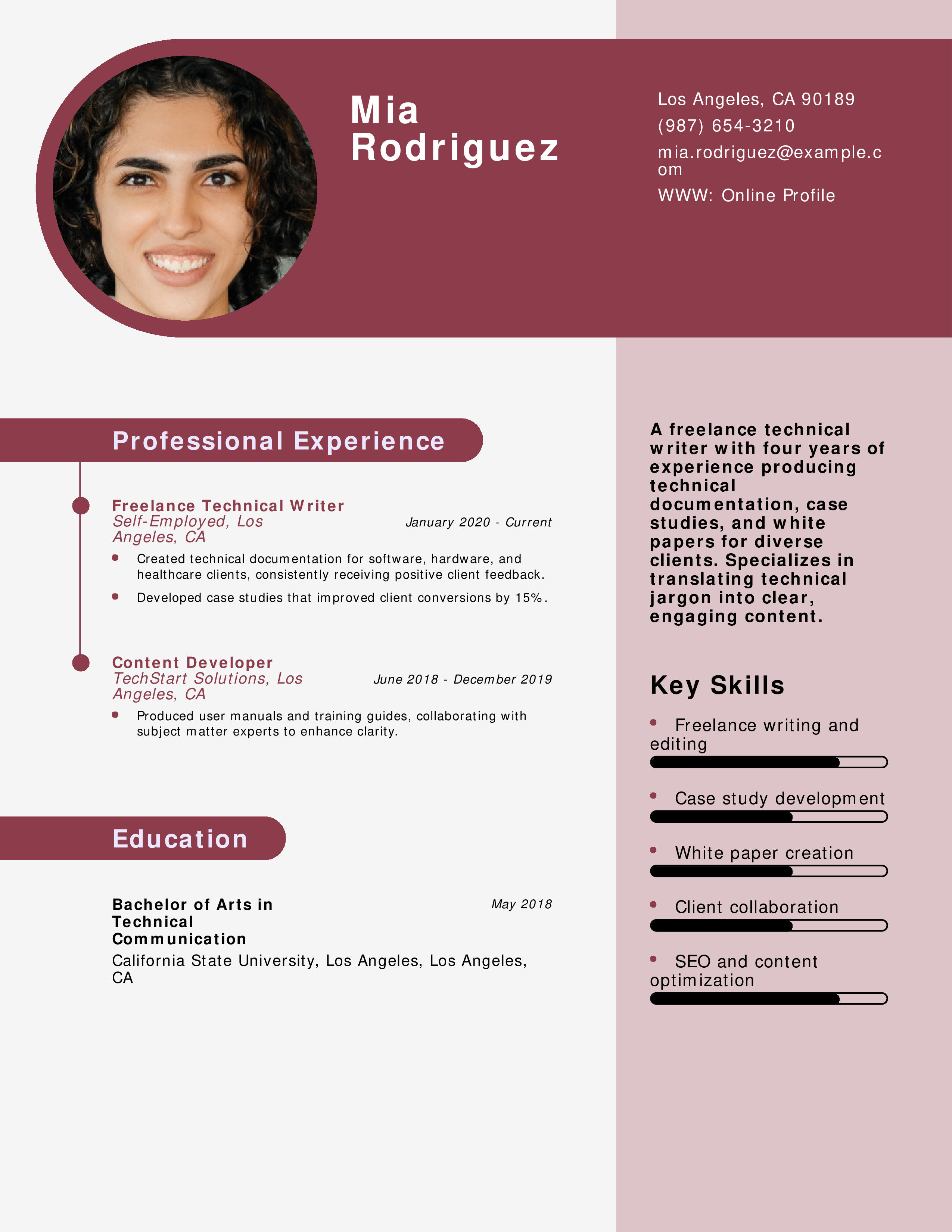 Freelance Product Technical Writer Resumes