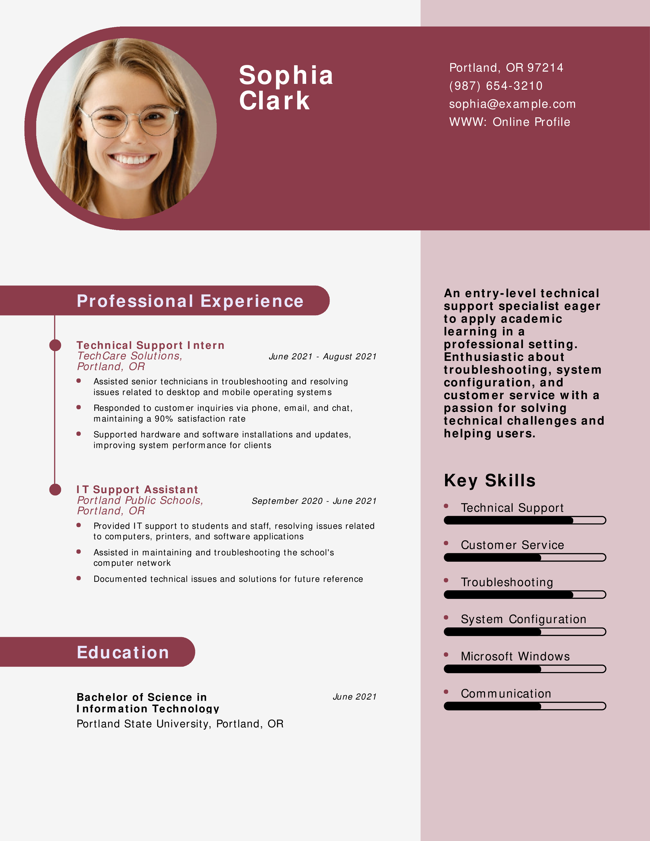 Junior Technical Support Specialist Resume