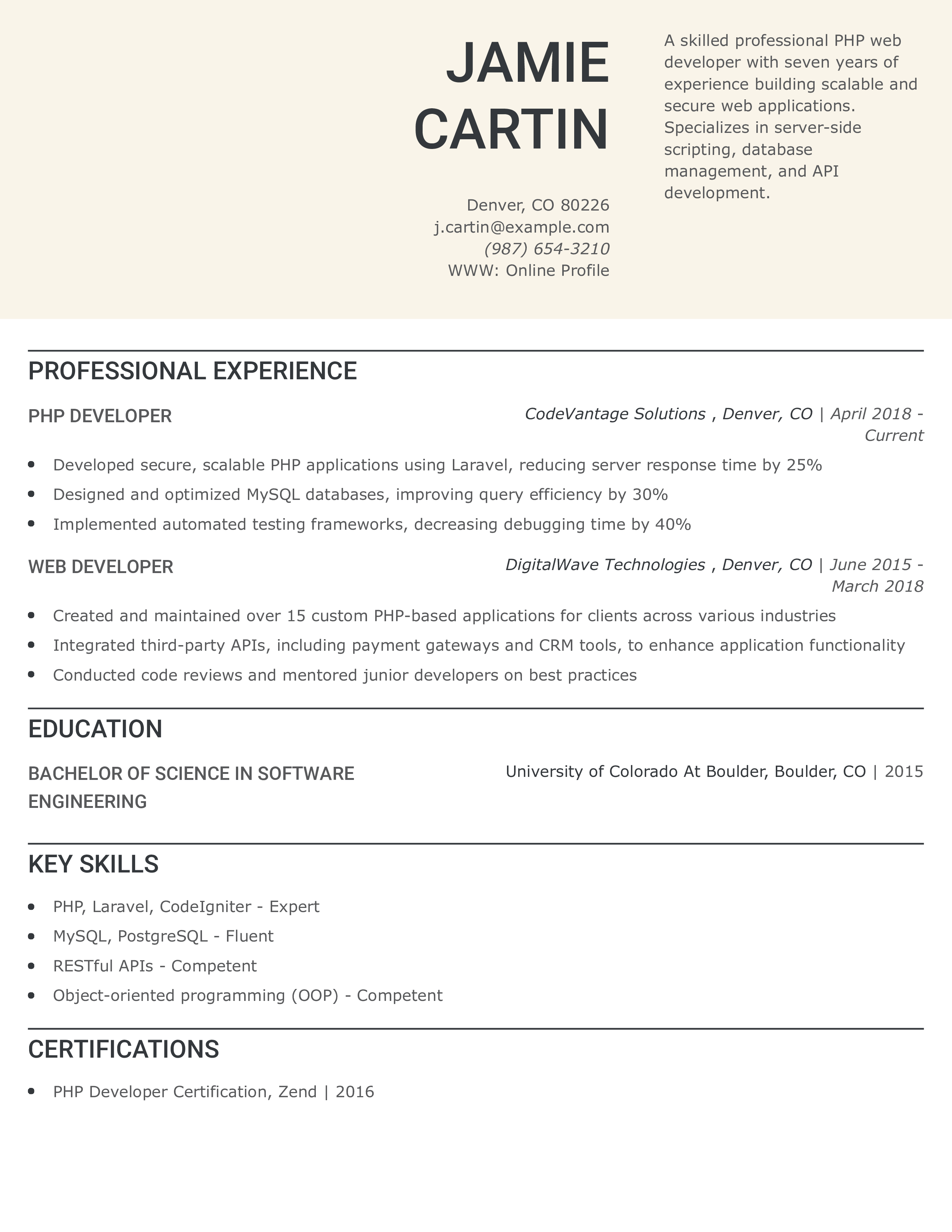 Professional PHP Web Developer Resume