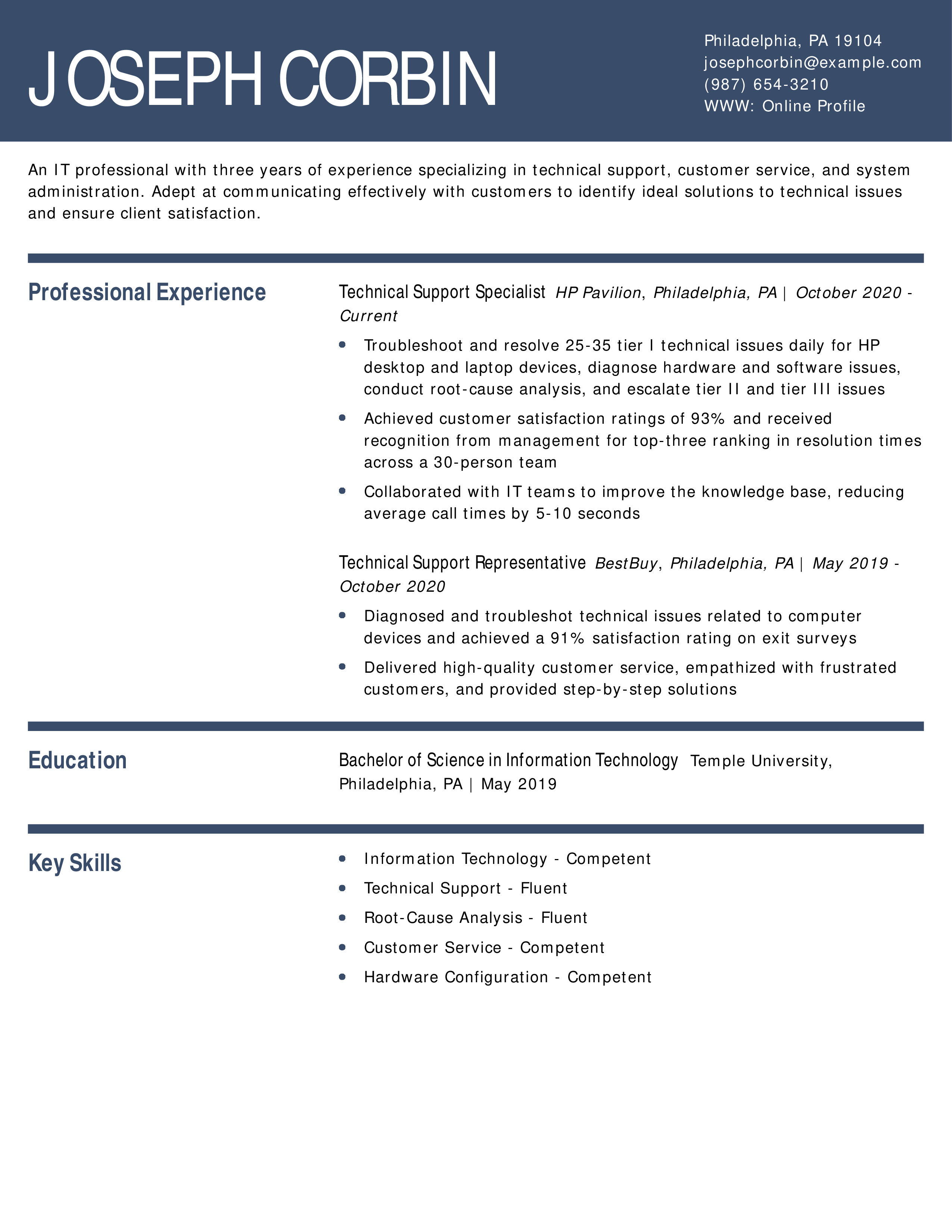 IT Professional Resume