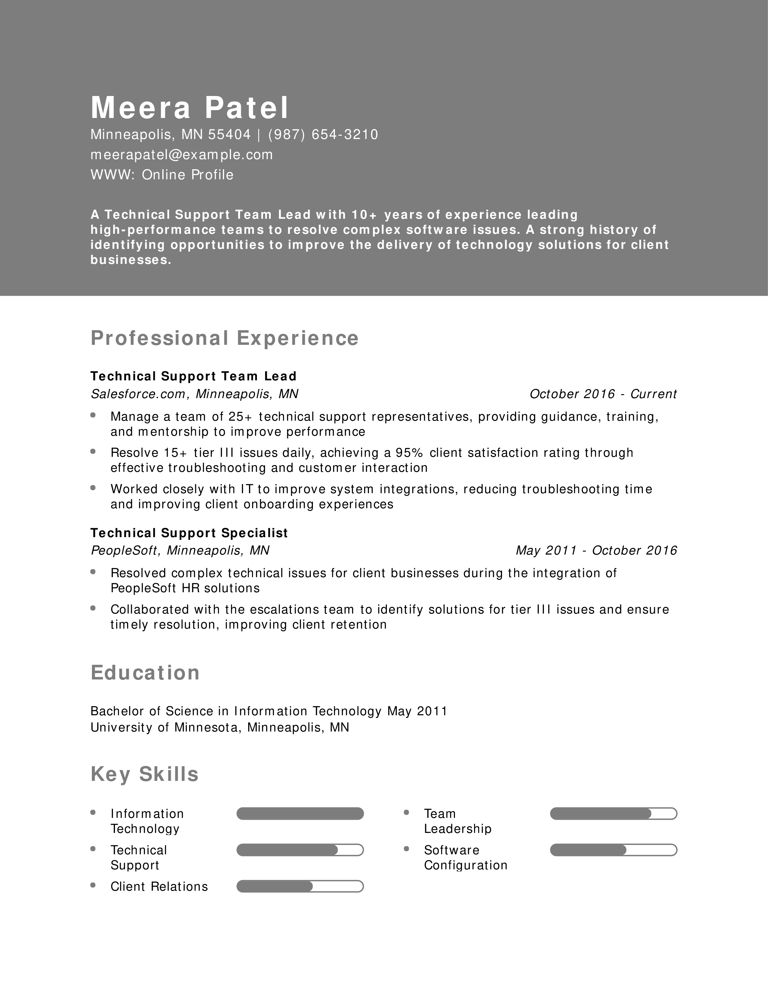Technical Support Team Lead Resume