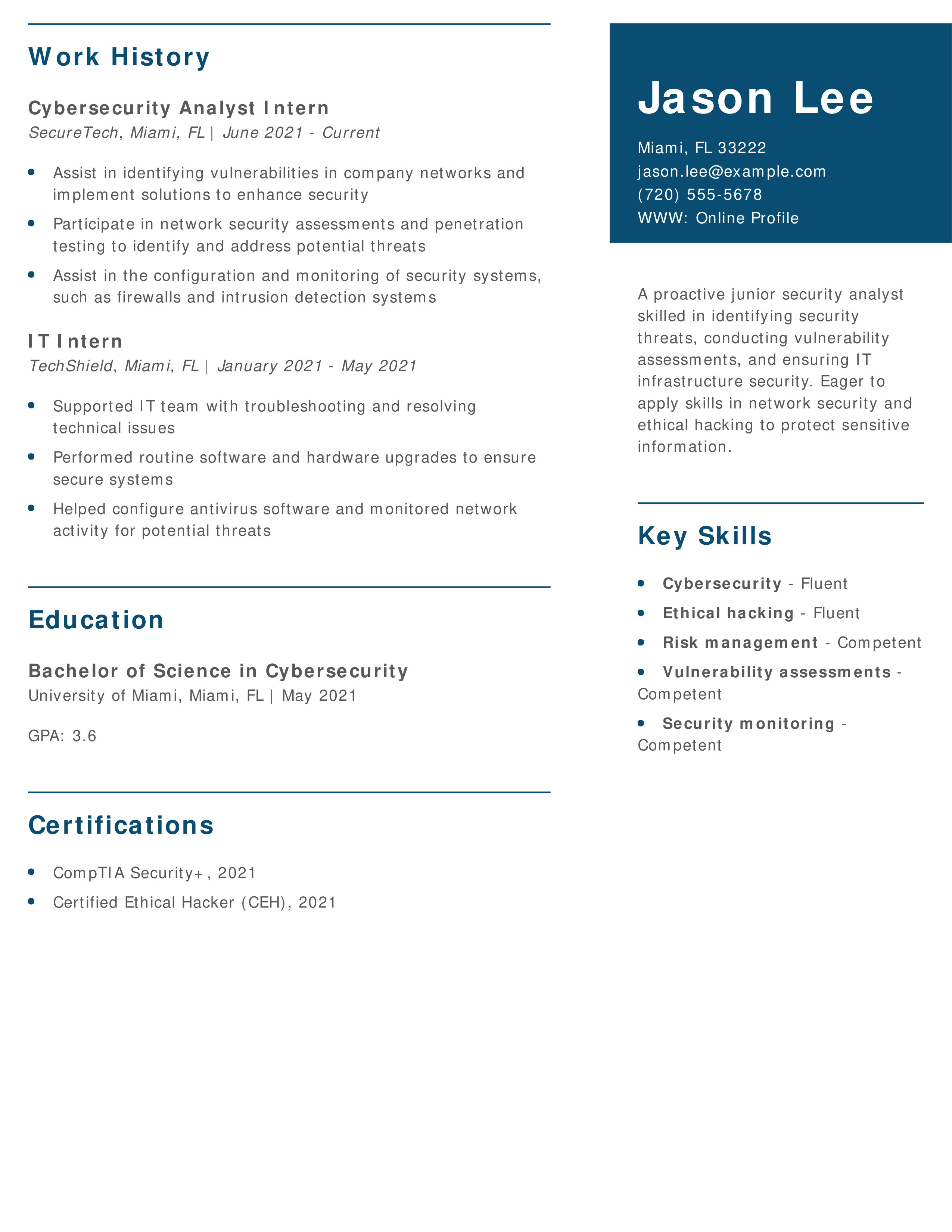 Junior Security Analyst Resume