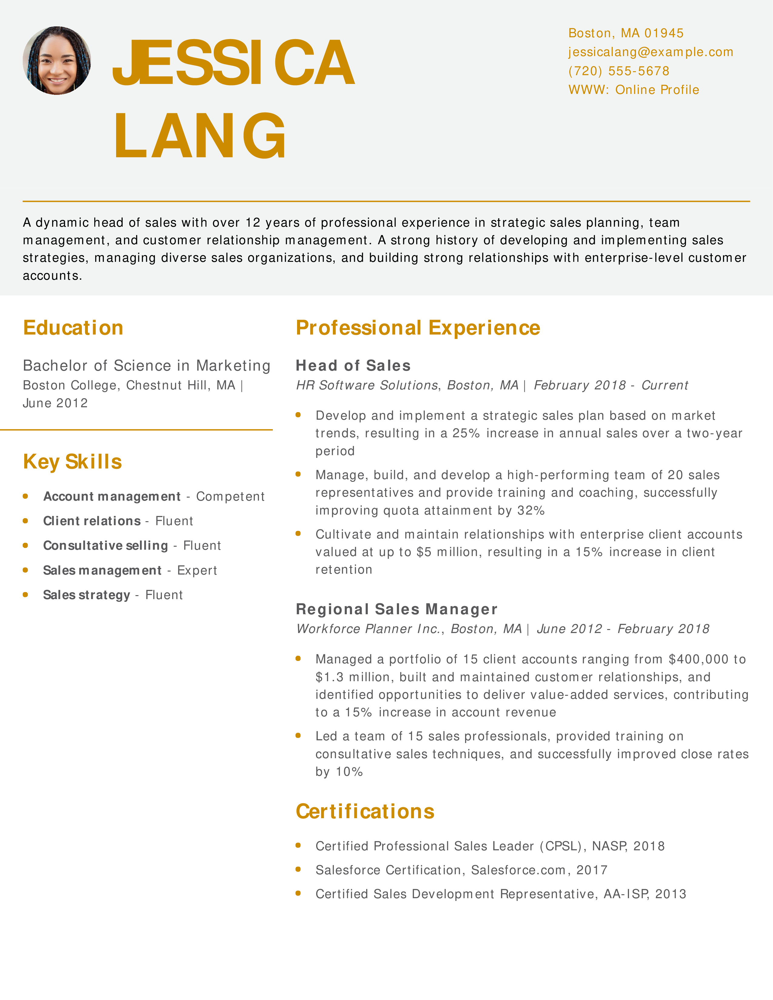 Head of Sales Resume Example