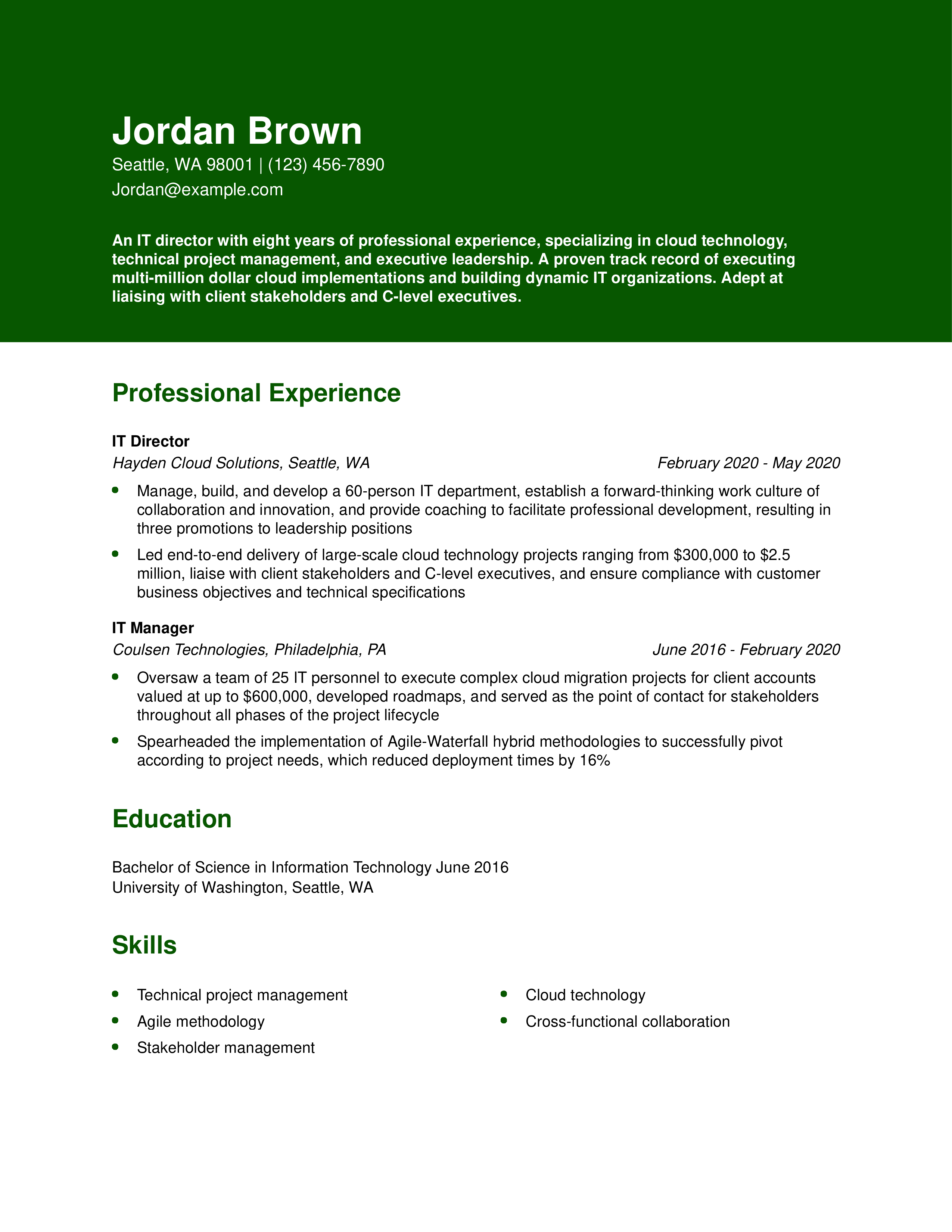 ITDirectorResumeExampleHomepage