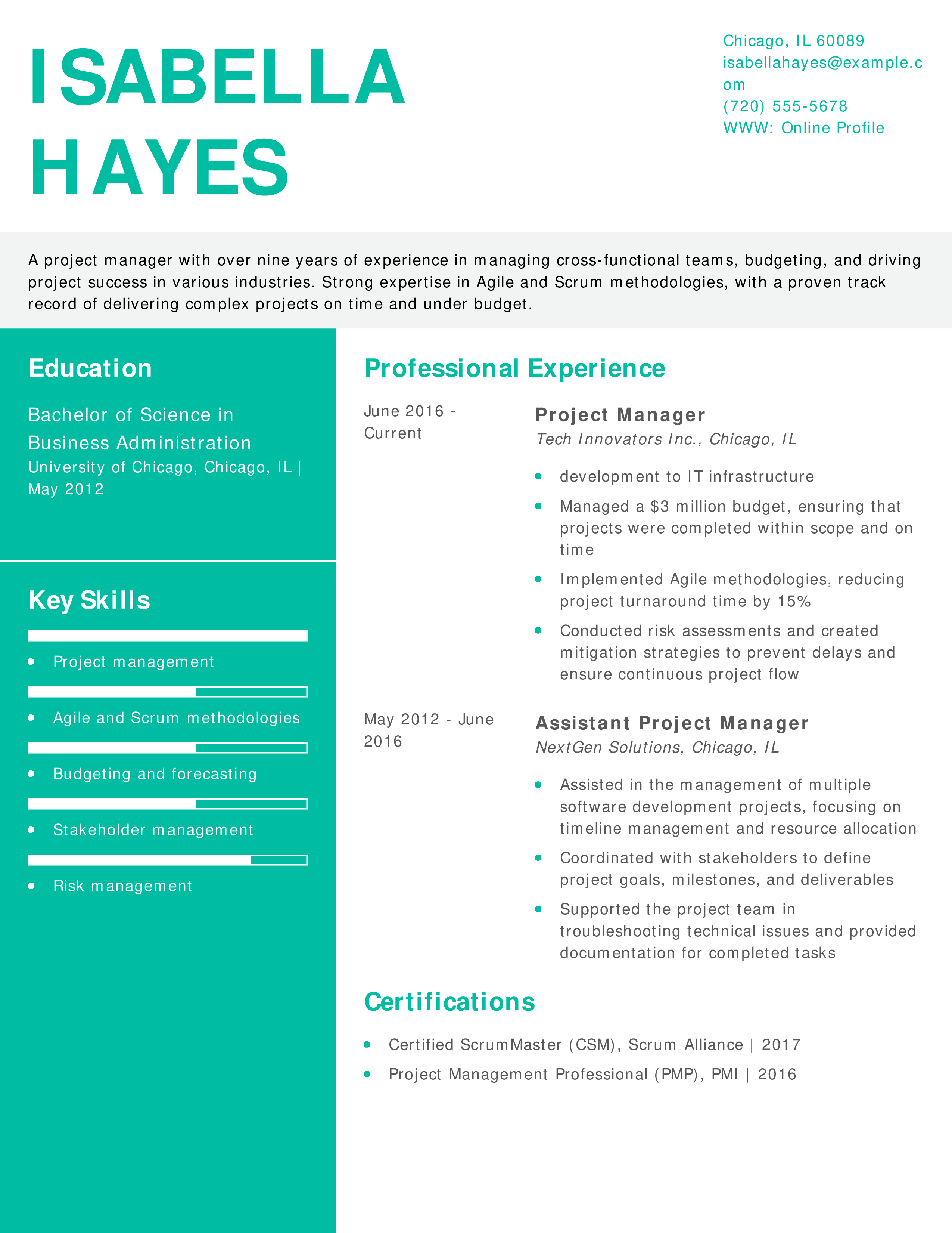 Project Manager Resume