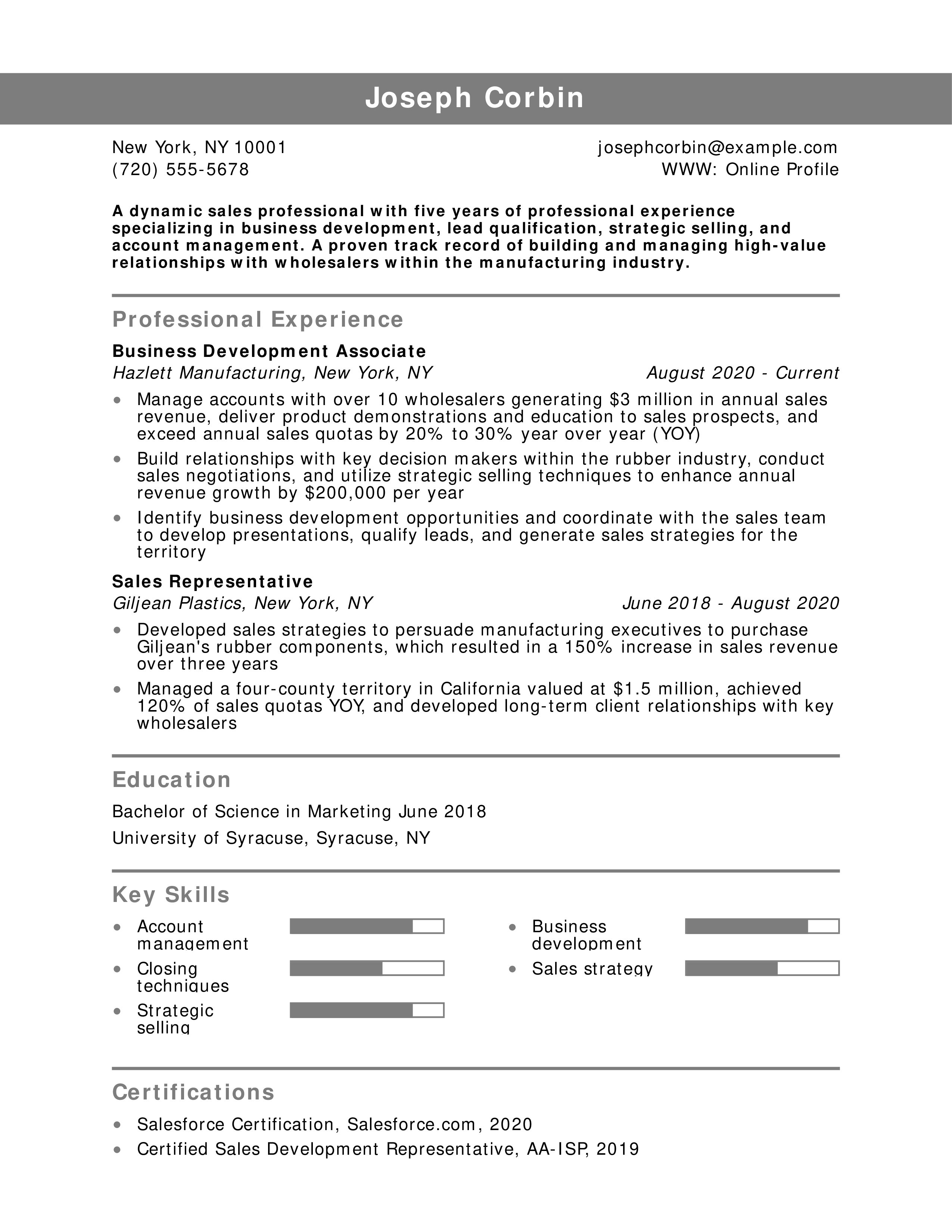 Sales Professional Resume