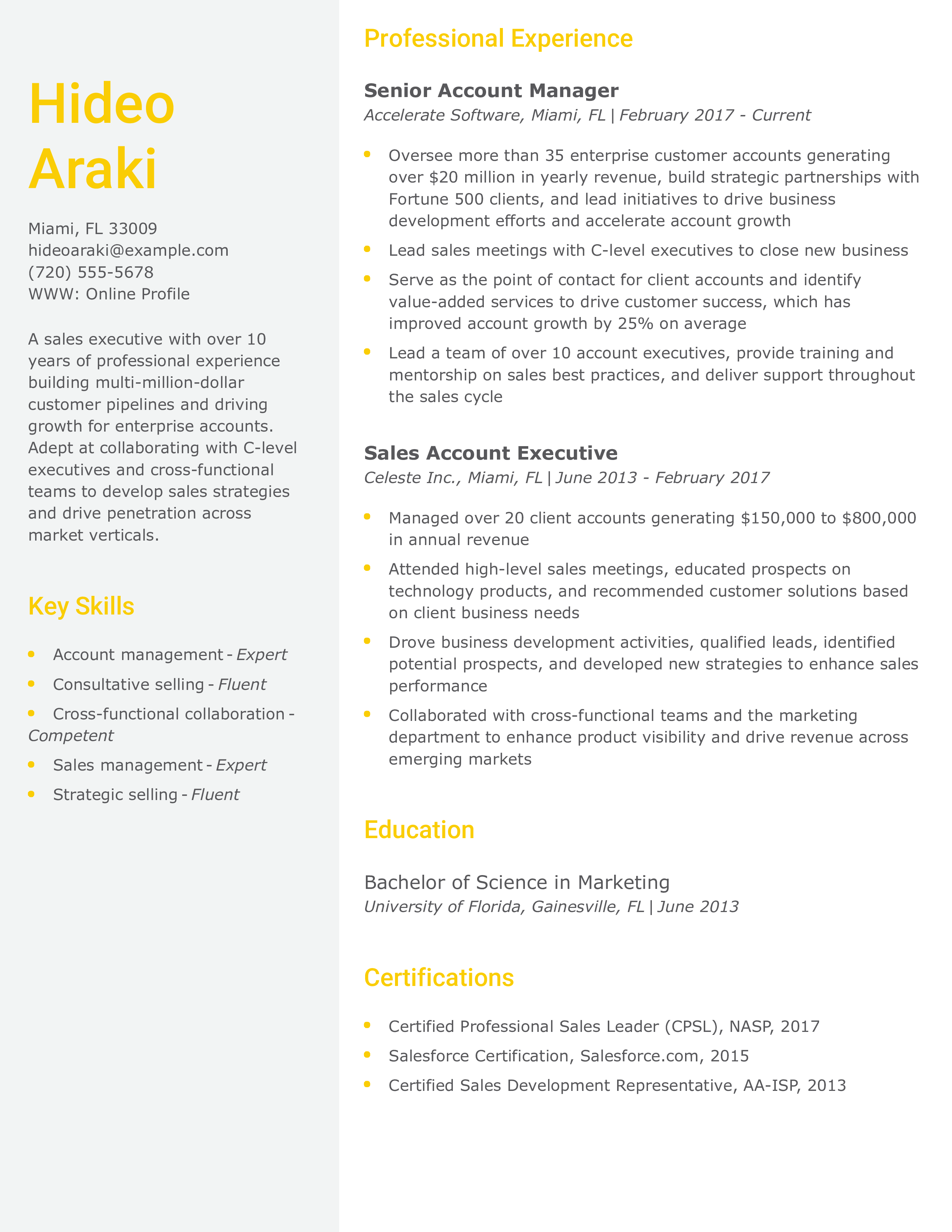 Sales Executive Resume