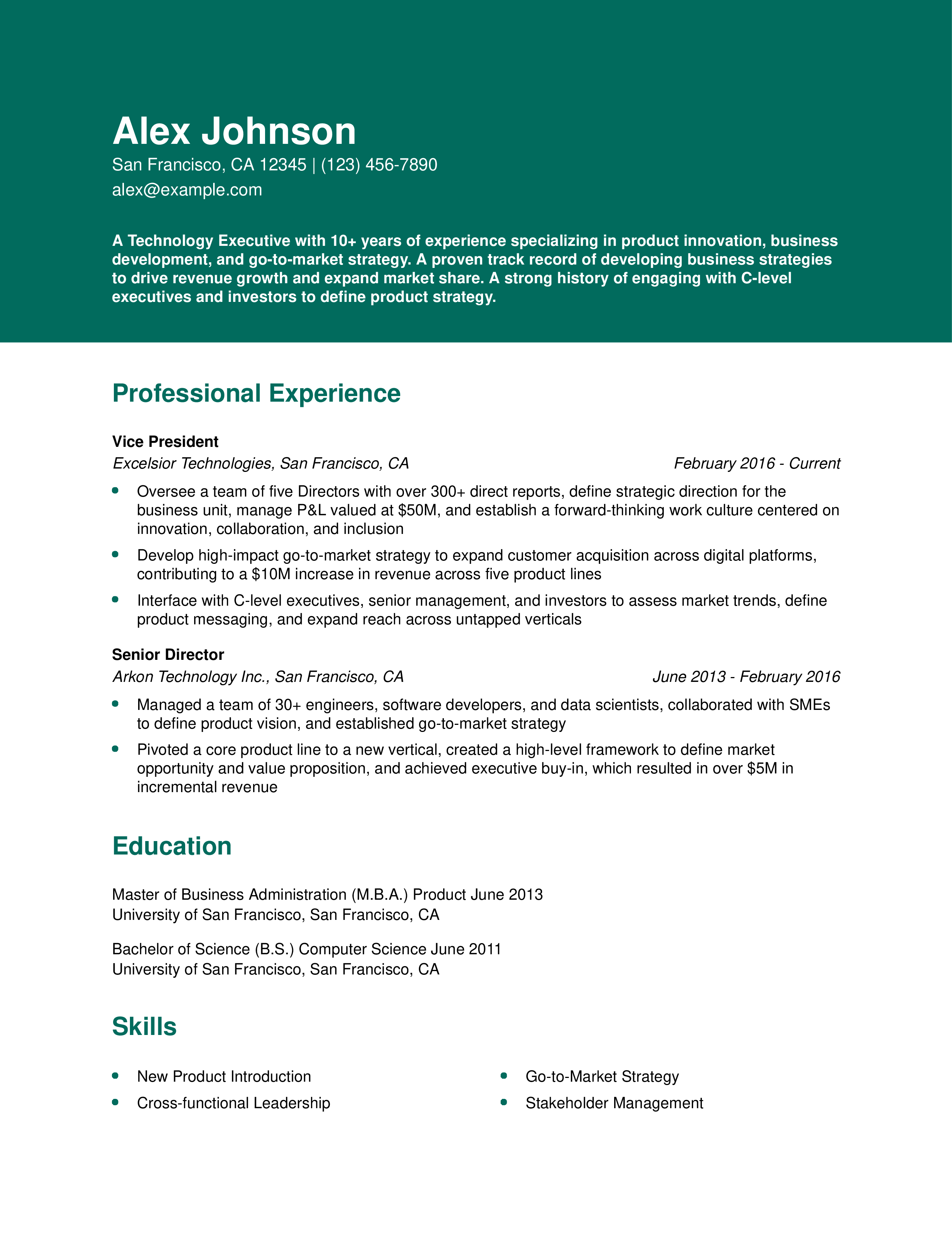 TechnologyExecutiveResumeExampleHomepage