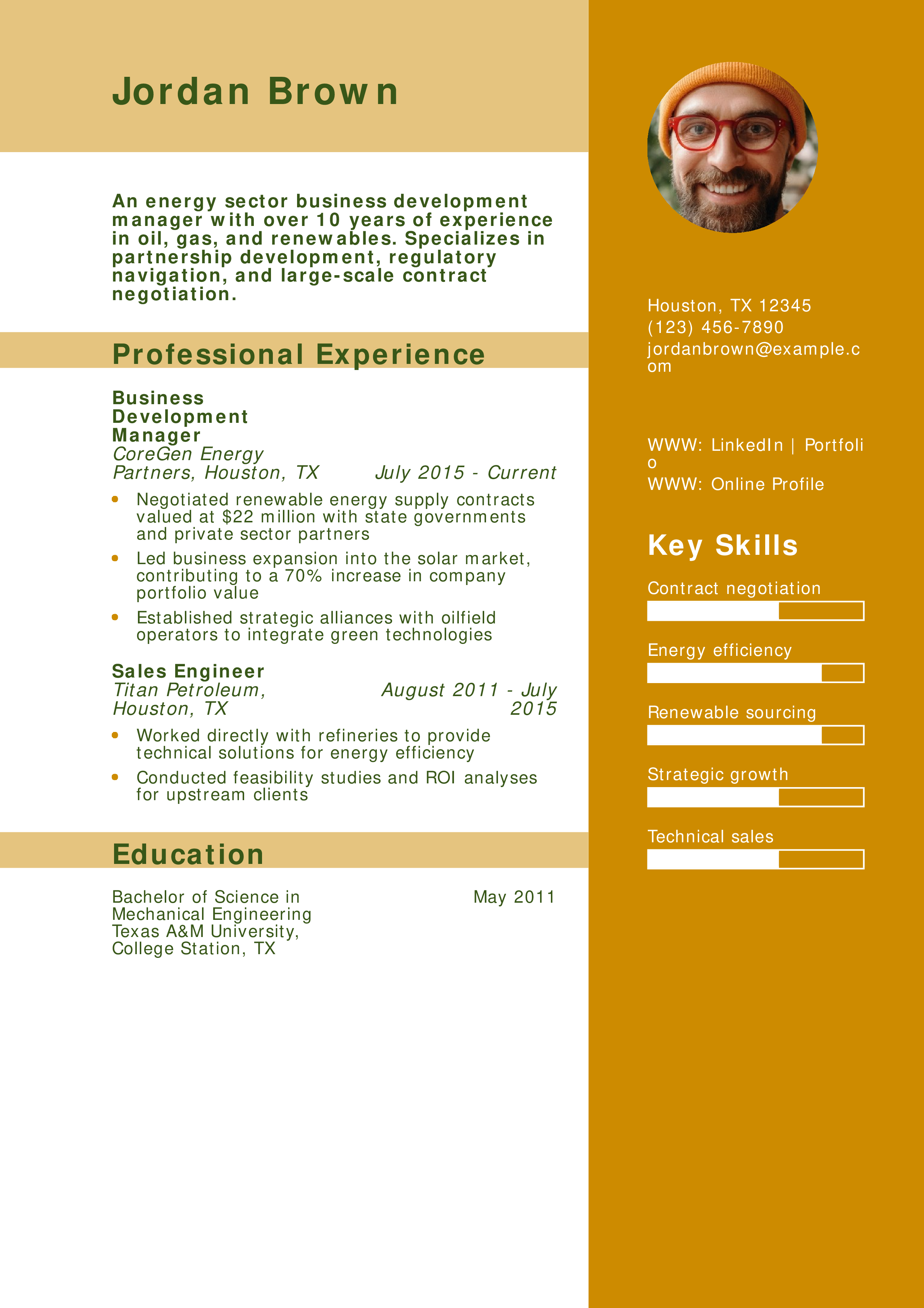 Energy Sector Business Development Manager Resume