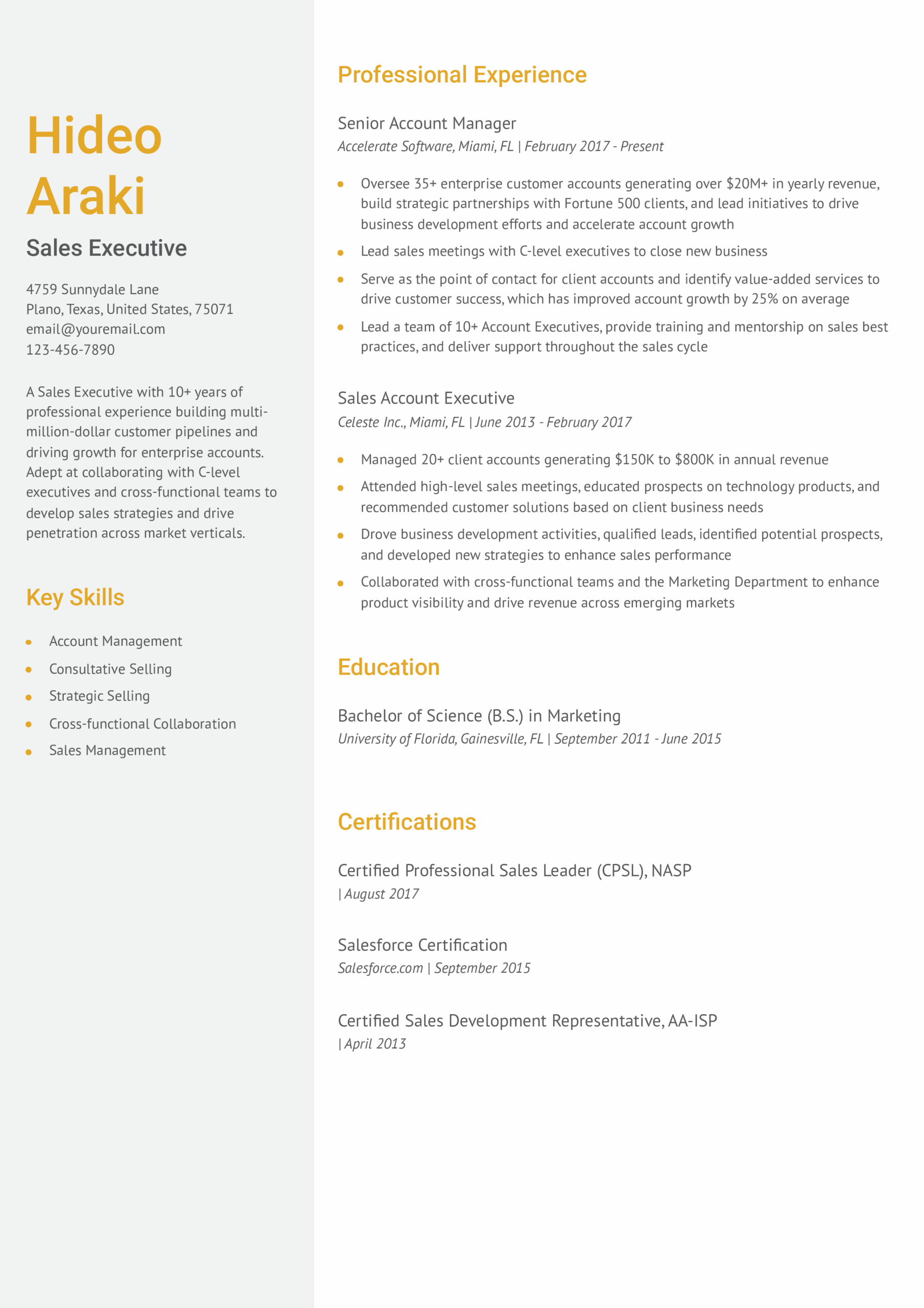 Sales-Senior-Level