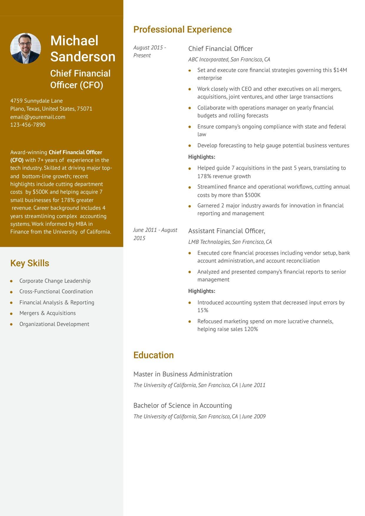 Chief Financial Officer Resume Example