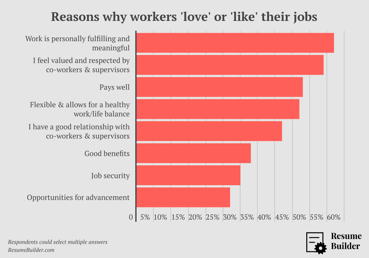 Job satisfaction - Reasons for liking-loving job